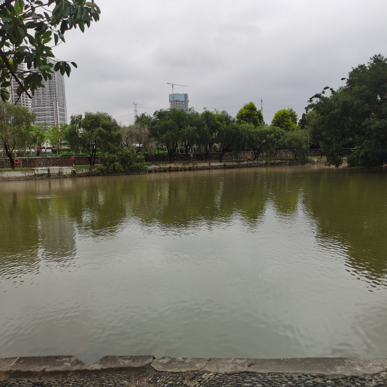 深圳市红湖公园湖光春色