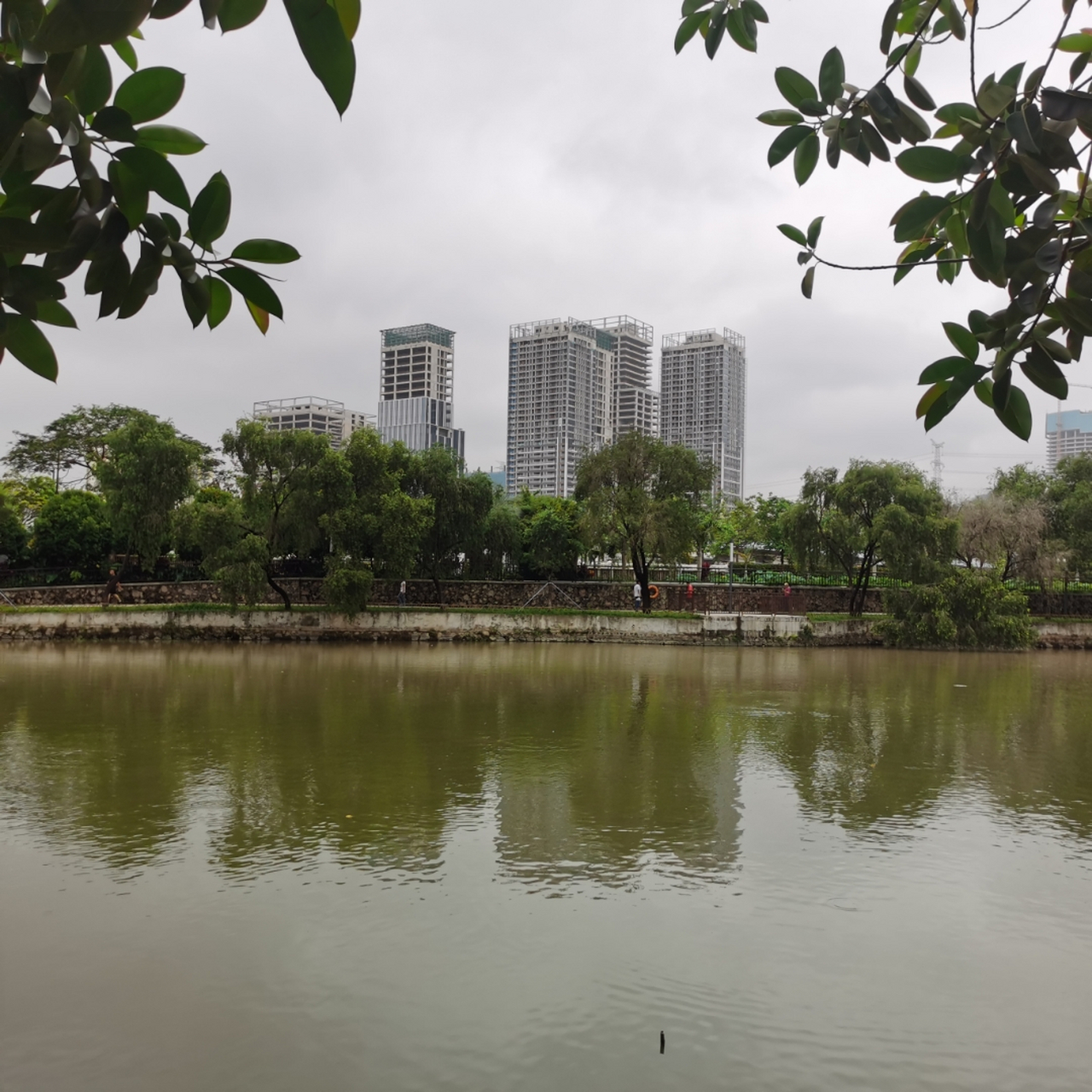 深圳市红湖公园湖光春色