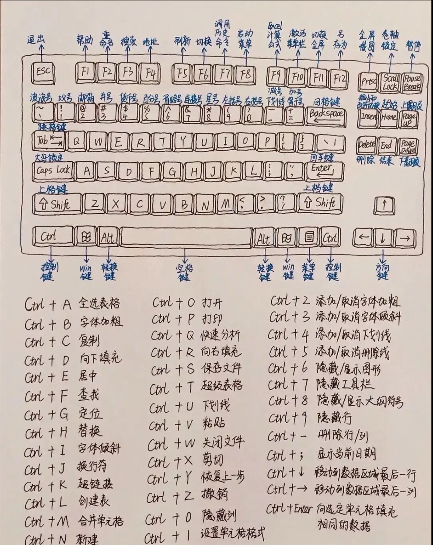 嵌入单元格图片快捷键图片