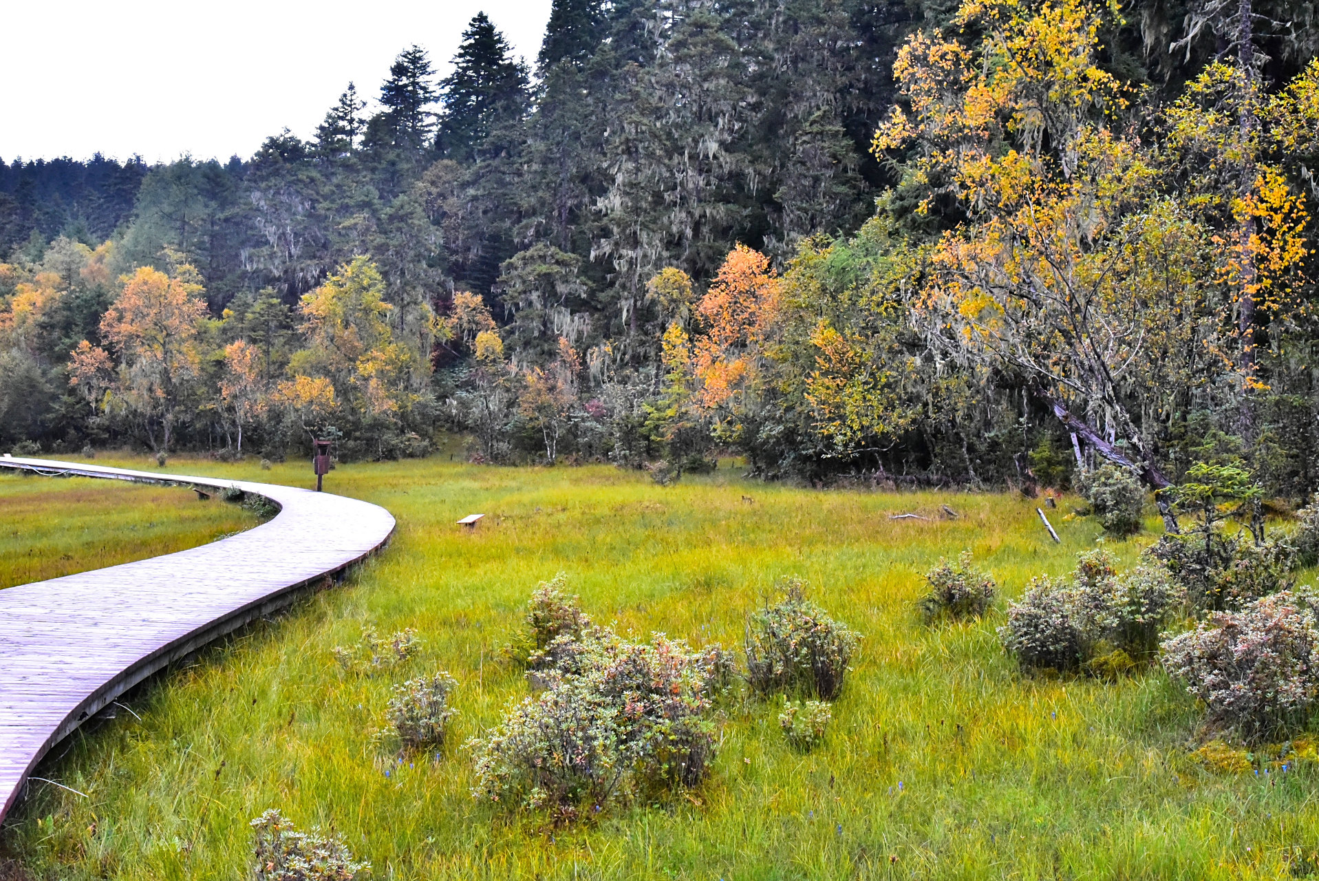香格里拉属都湖.