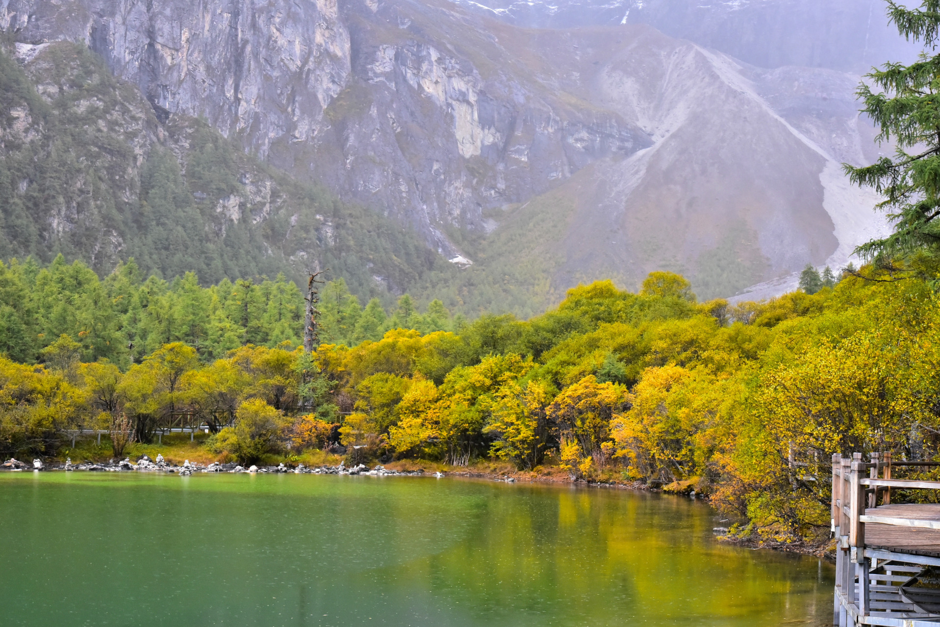 稻城亚丁珍珠海.秋天仙乃日山脚下河水已干涸,大片的小树叶已成黄色.