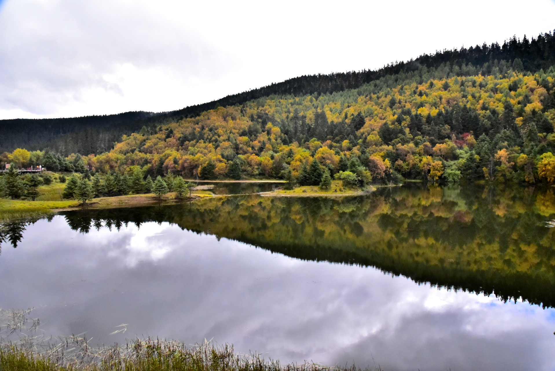 香格里拉属都湖.