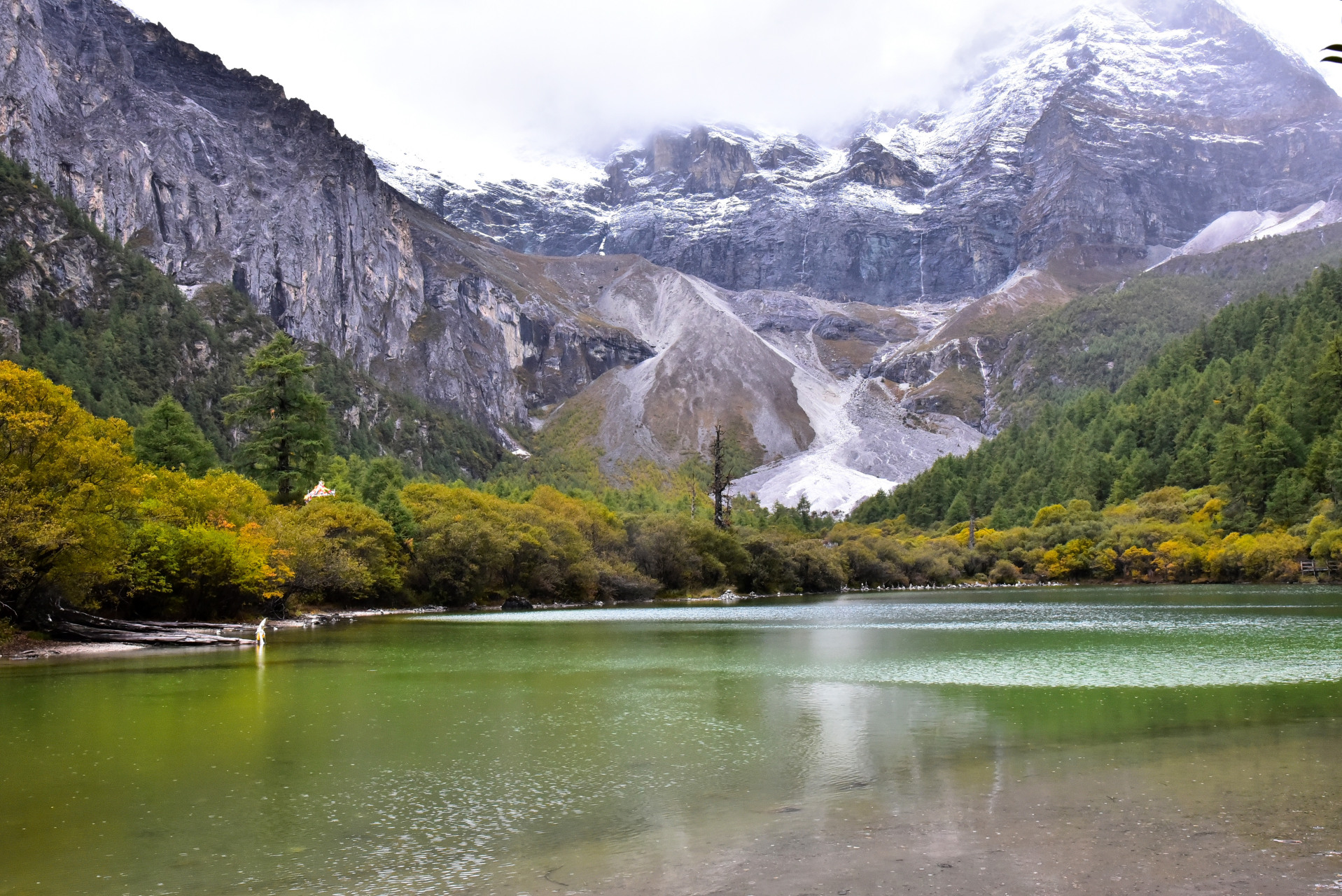 稻城亚丁珍珠海.秋天仙乃日山脚下河水已干涸,大片的小树叶已成黄色.
