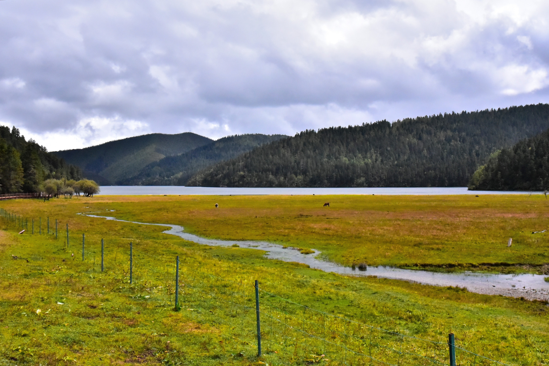 香格里拉普达措国家公园碧塔海.秋天的碧塔海确实很美,一切都是那么的
