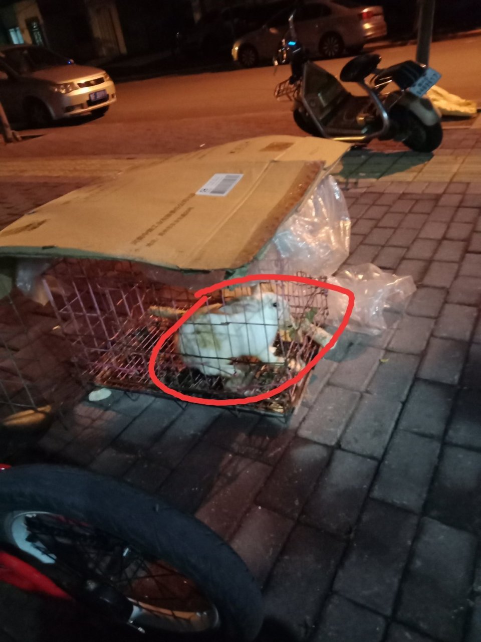 这是迷你创始人古振兴的真人照.