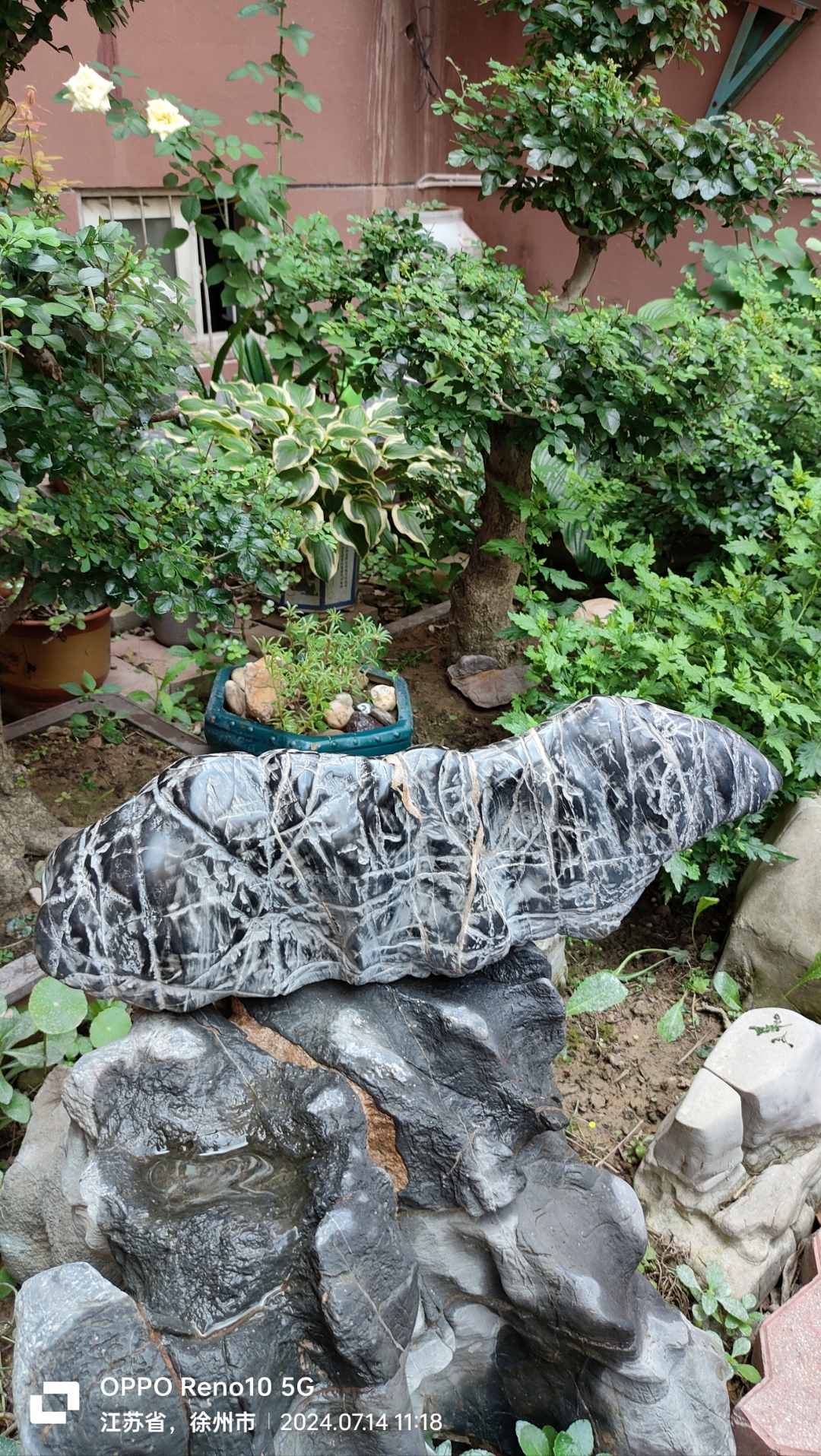 灵璧奇石欣赏,象形石:蚕