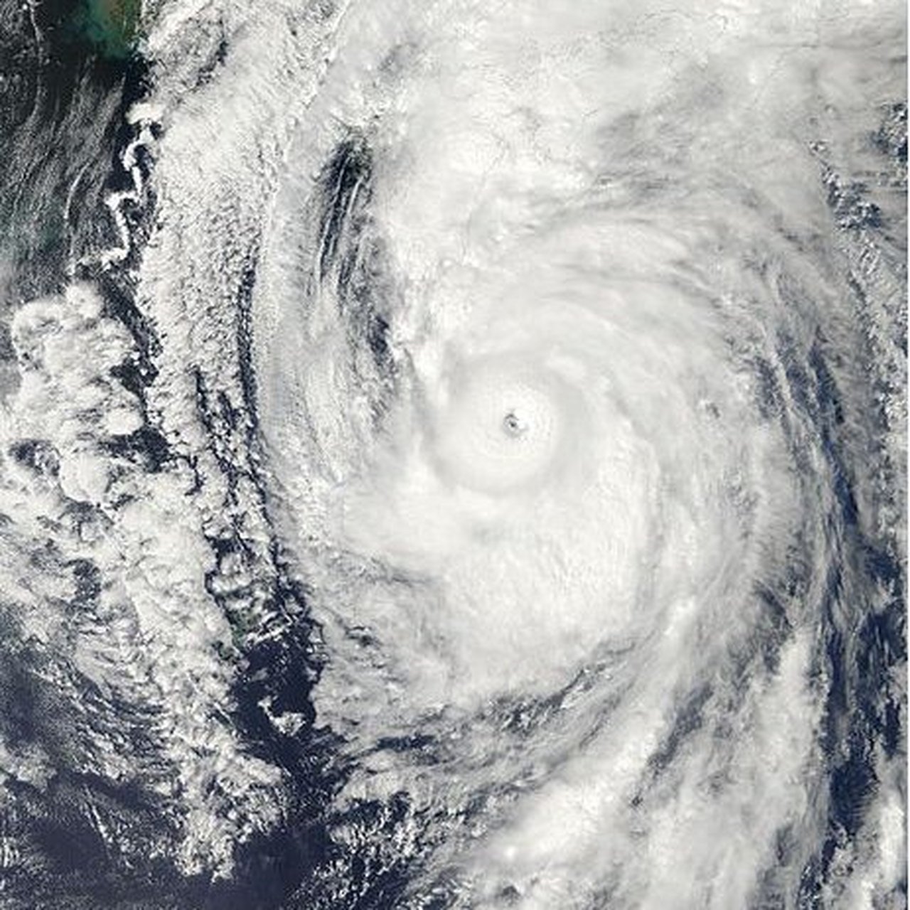 2011年15号台风洛克