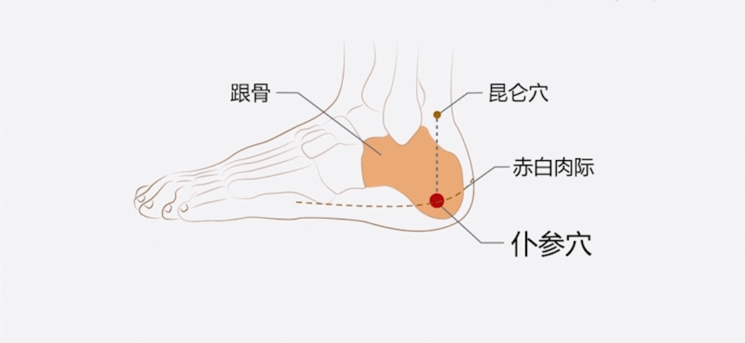 外踝尖图片