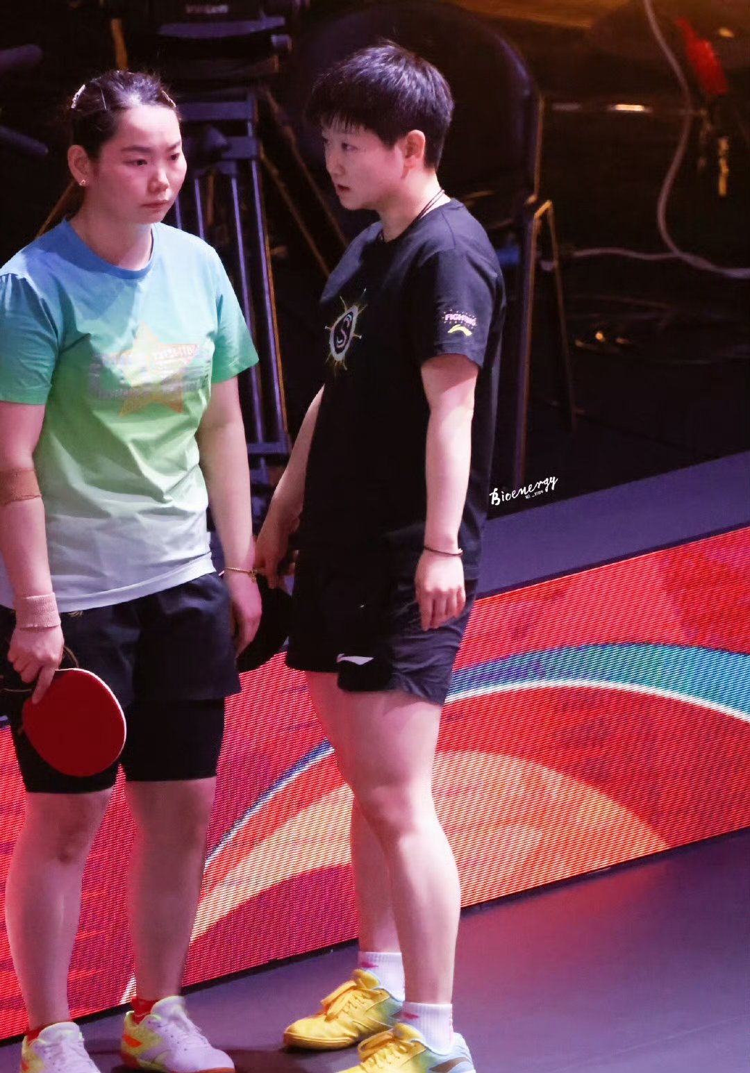 在多哈训练馆,佳佳突然像座雕塑,定住不动