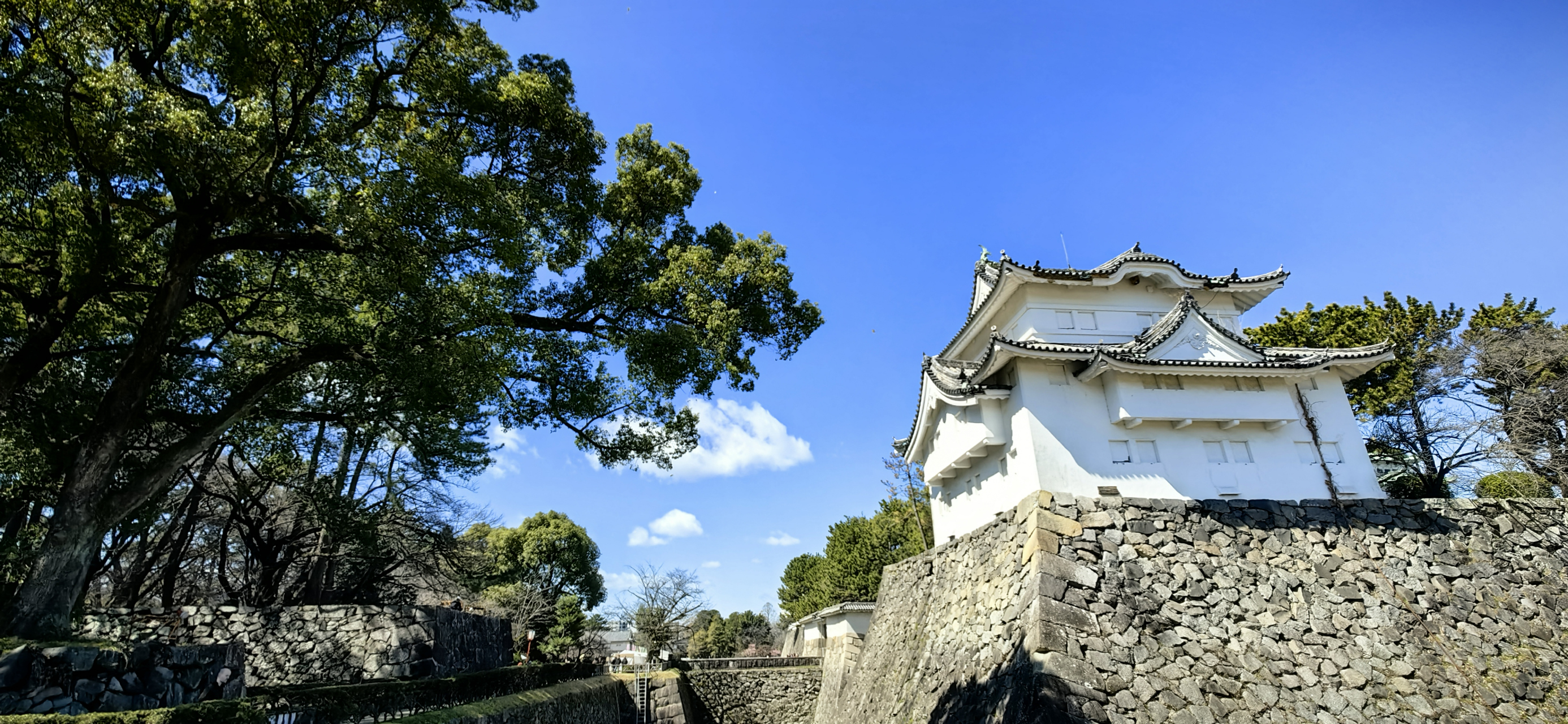 我的旅行日记# #记录旅行风光# 名古屋城是位于日本爱知县名古屋市的 