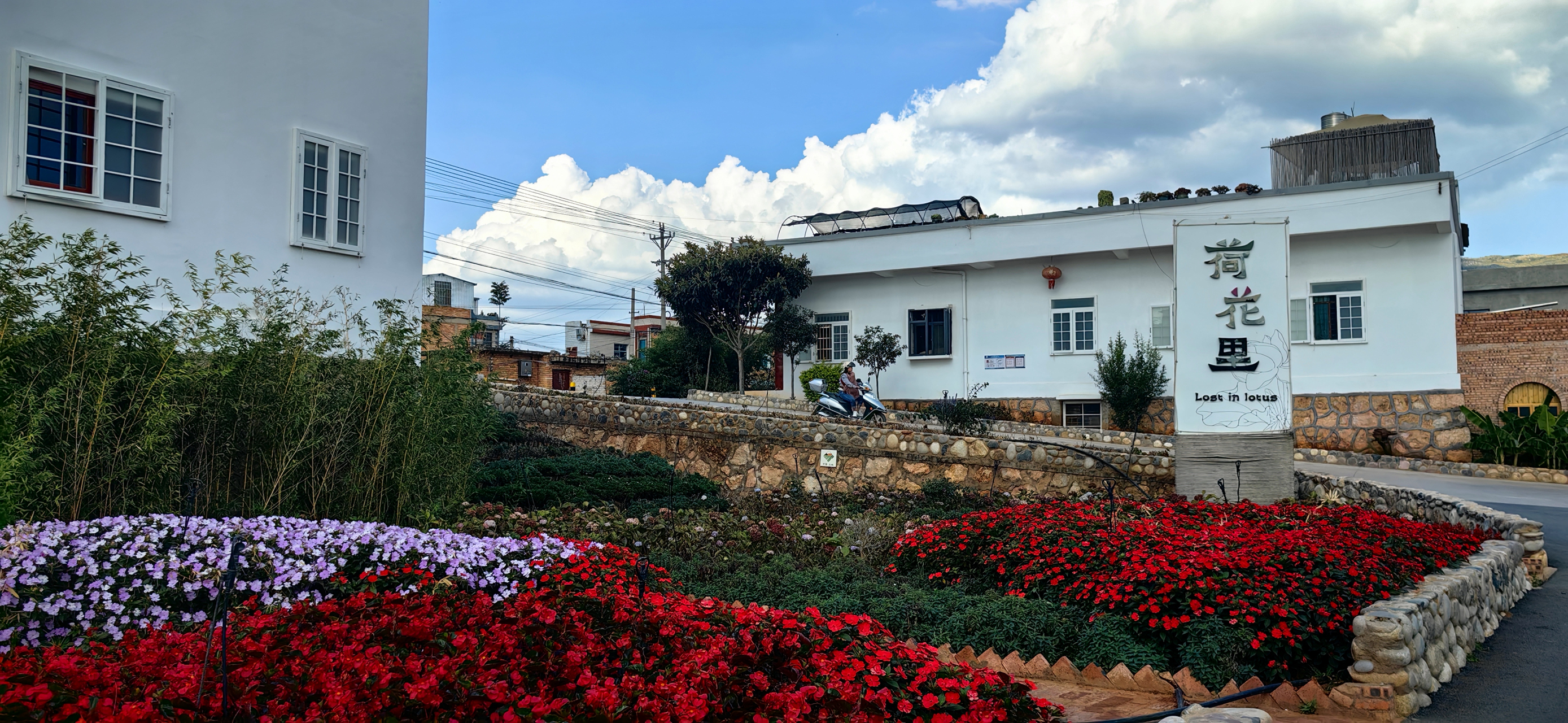 记录旅行中最美的风景# 陆良三岔河新农村面貌