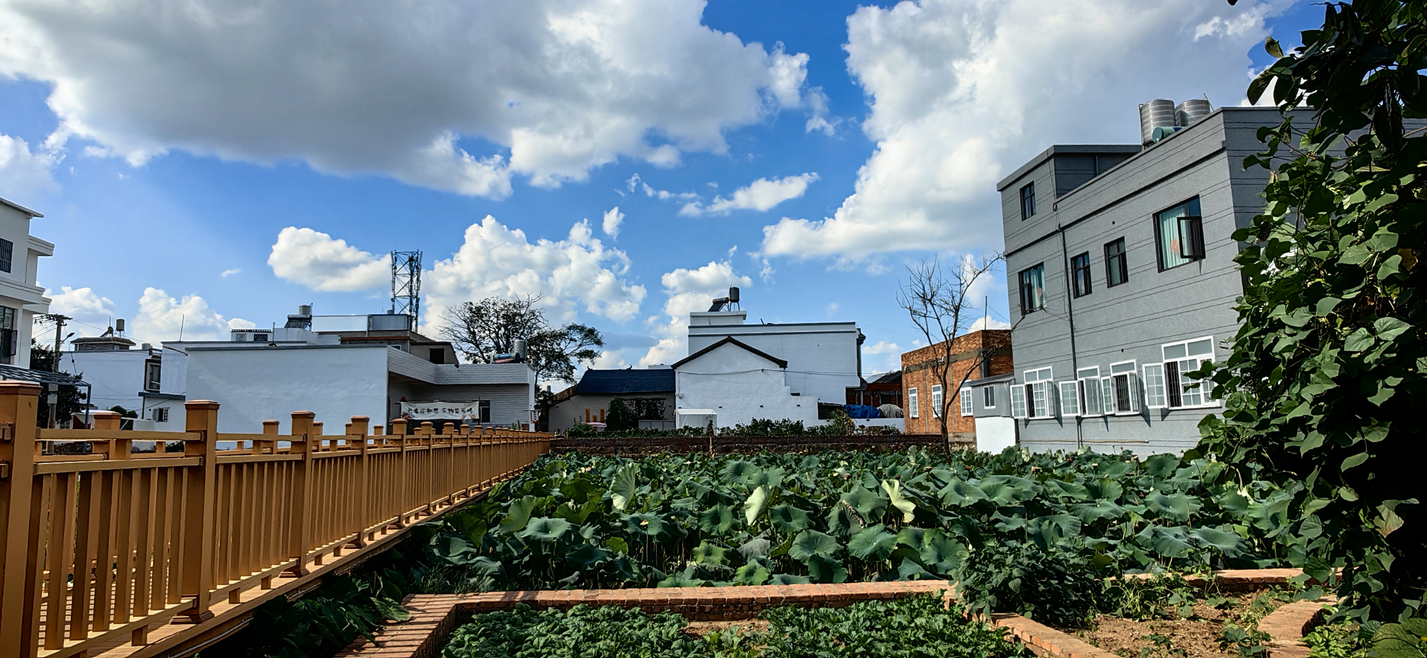 记录旅行中最美的风景# 陆良三岔河新农村面貌