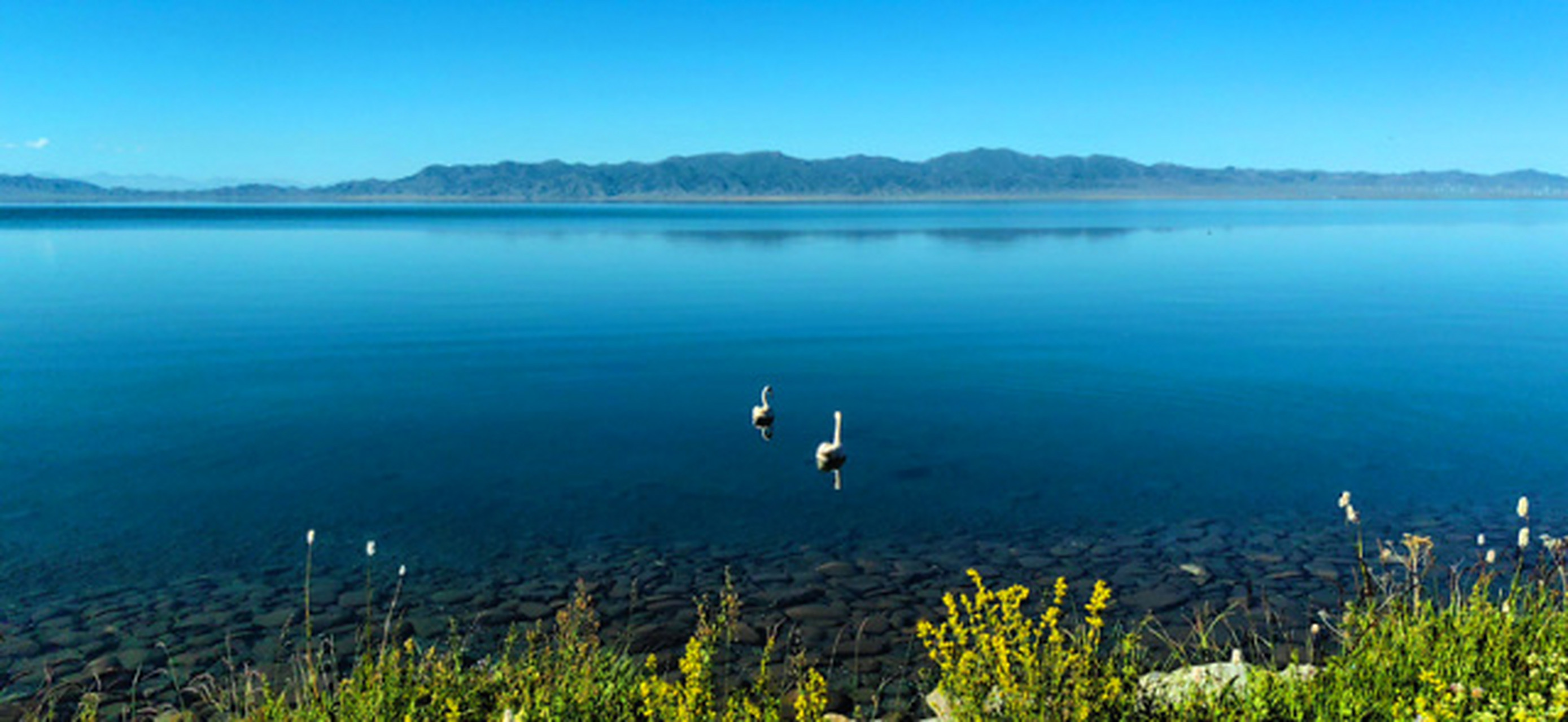 风景摄影# 走马观花赛里木湖     新疆海拔最高,面积最大,风光秀丽的 