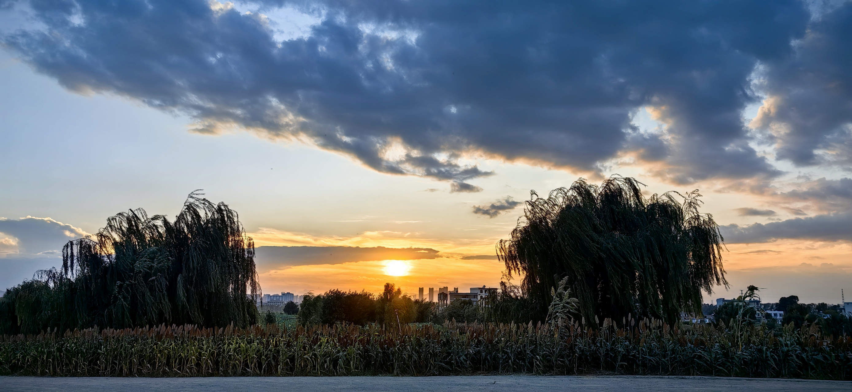风景摄影# 避暑胜地曲靖水乡初秋景色