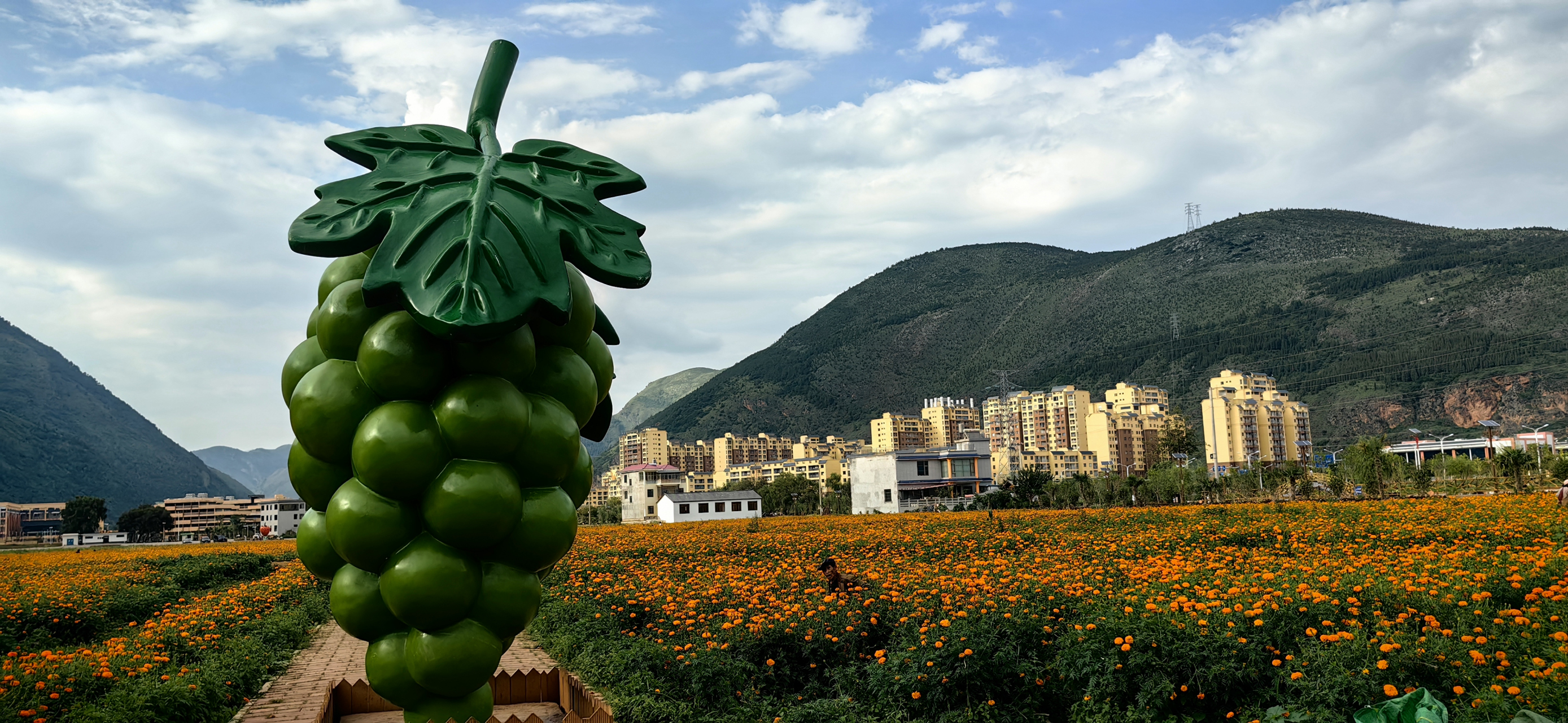 旅行摄影# 云南会泽以礼河水乡映像