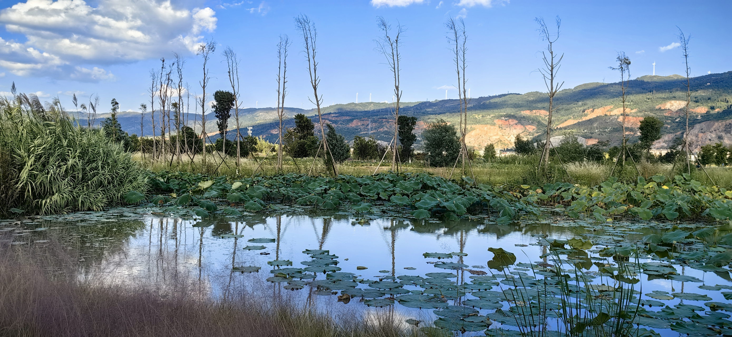 风景摄影# 避暑胜地曲靖水乡初秋景色