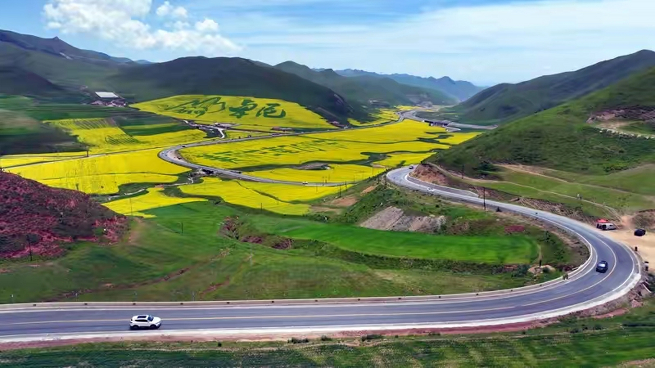 风景摄影# 盛夏的七月,甘南卓尼县一片菜花飘香的春天景象,为美丽