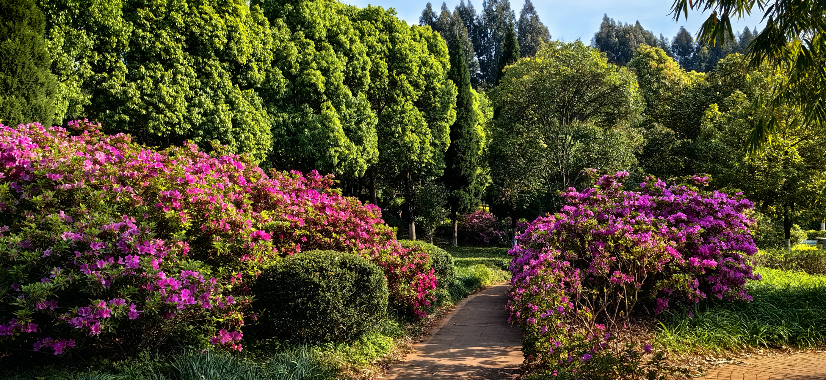 记录我的城市吧# 花团锦簇的曲靖河滨公园