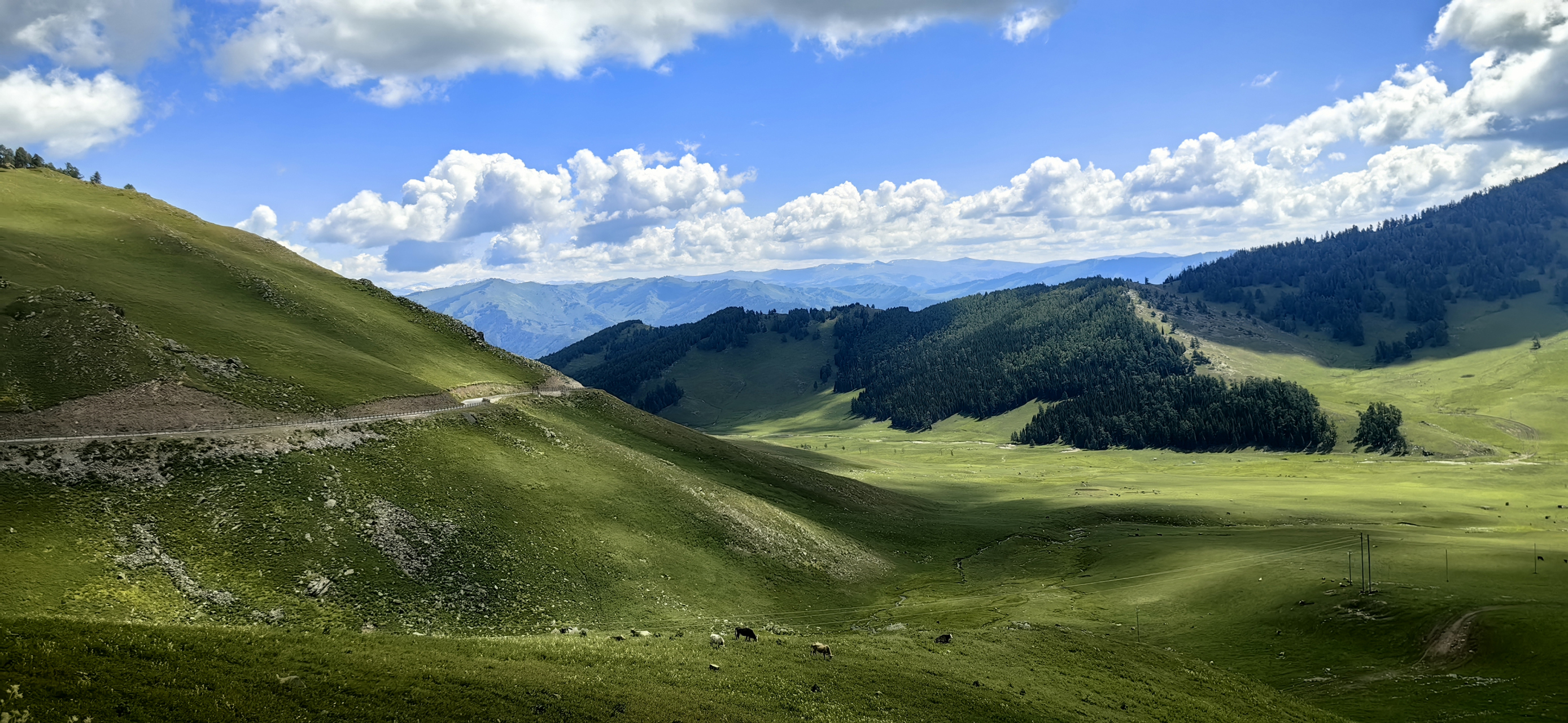 旅行摄影# 前往禾木的路边风景随手秀