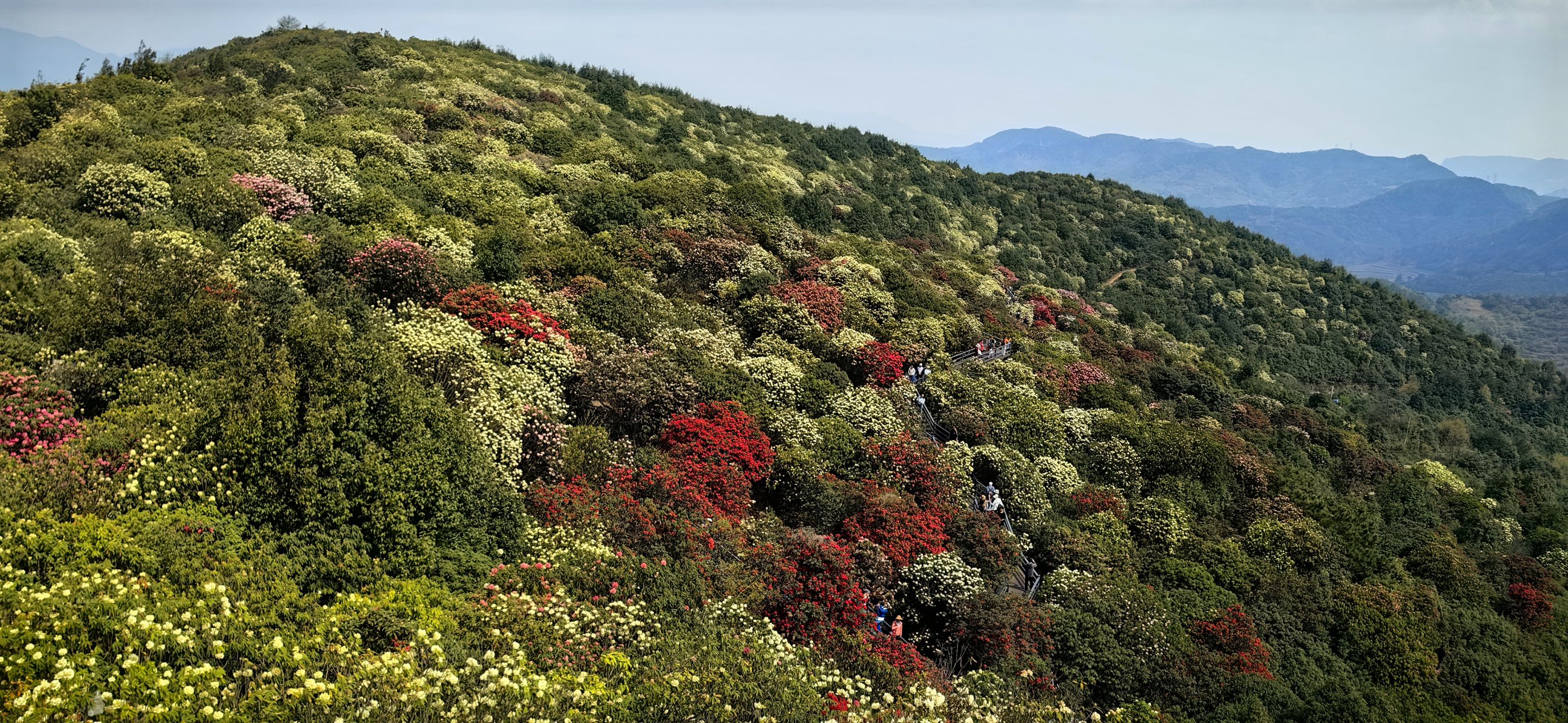 我的旅行日记# #旅行摄影# #记录旅行风光# #遇见美好# 曲靖东山马