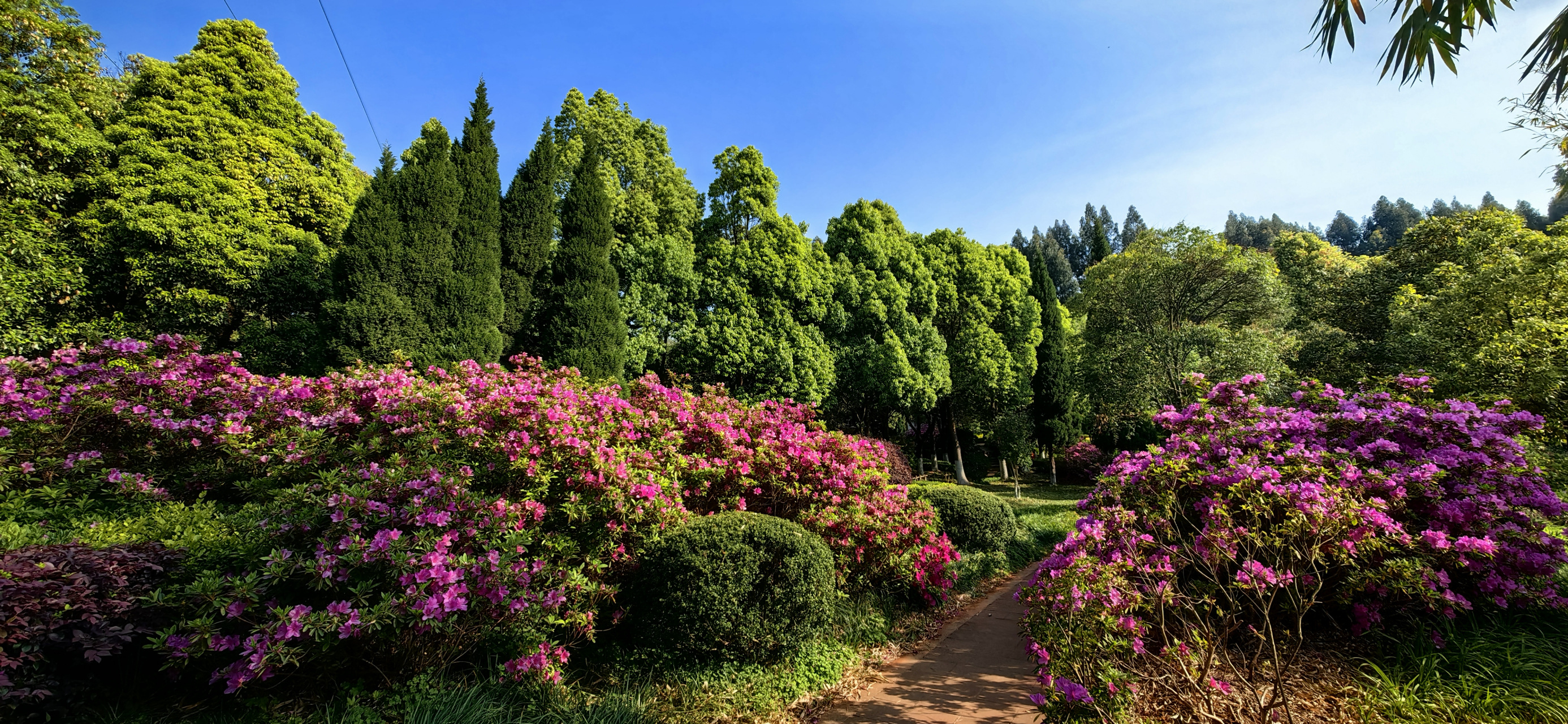 记录我的城市吧# 花团锦簇的曲靖河滨公园