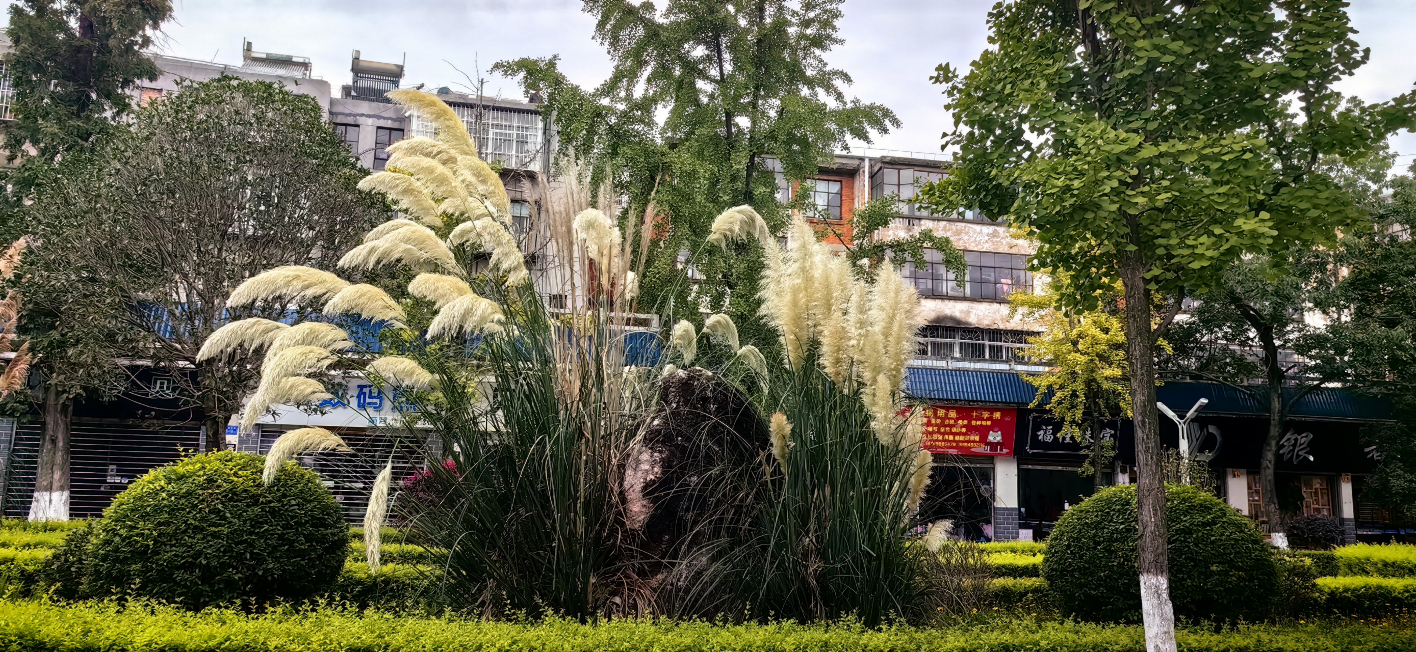 旅行摄影# 清凉凉的曲靖麒麟公园.