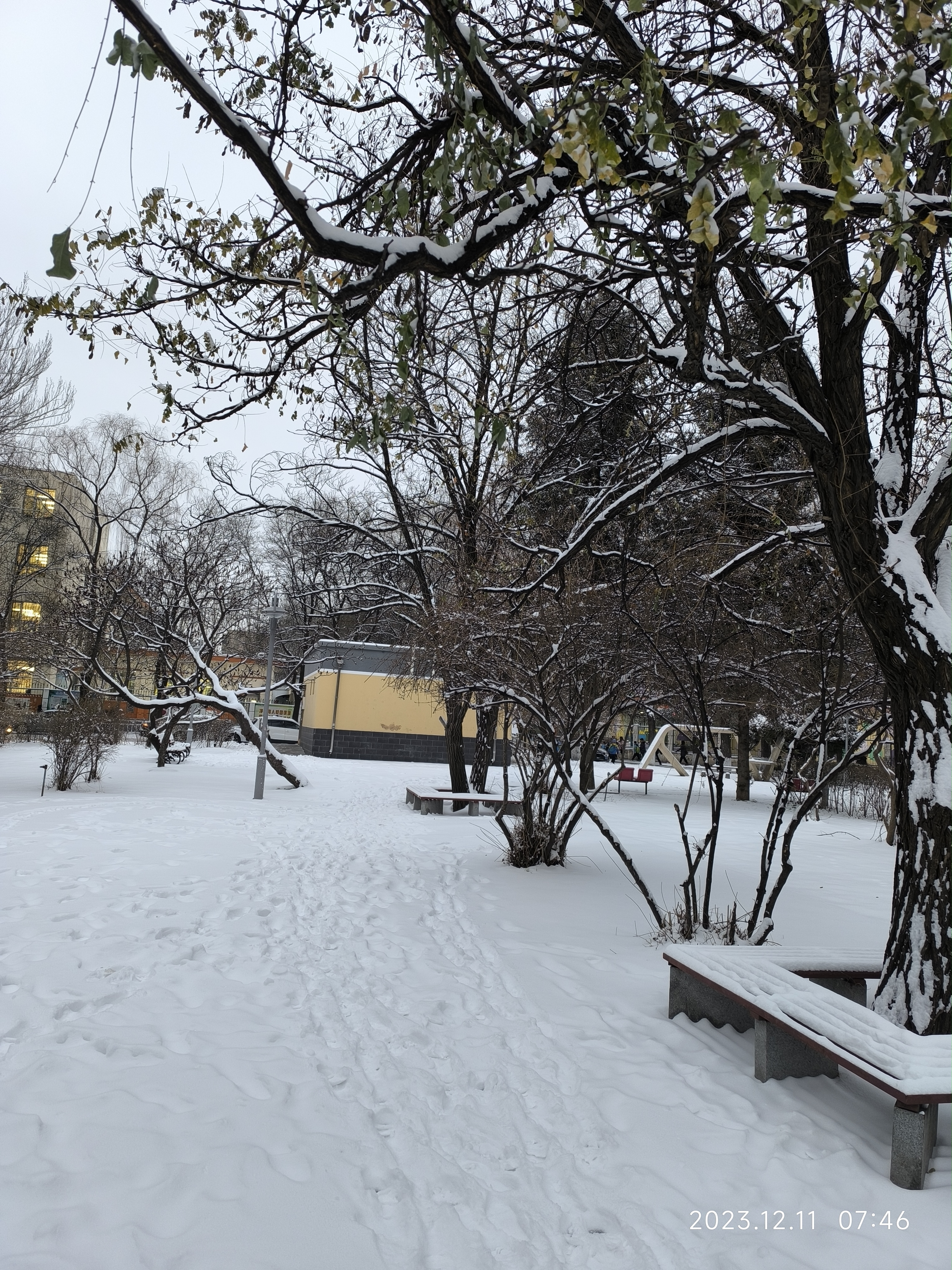 那些冬天才有的美景  在我心里冬天最美的就是下雪天