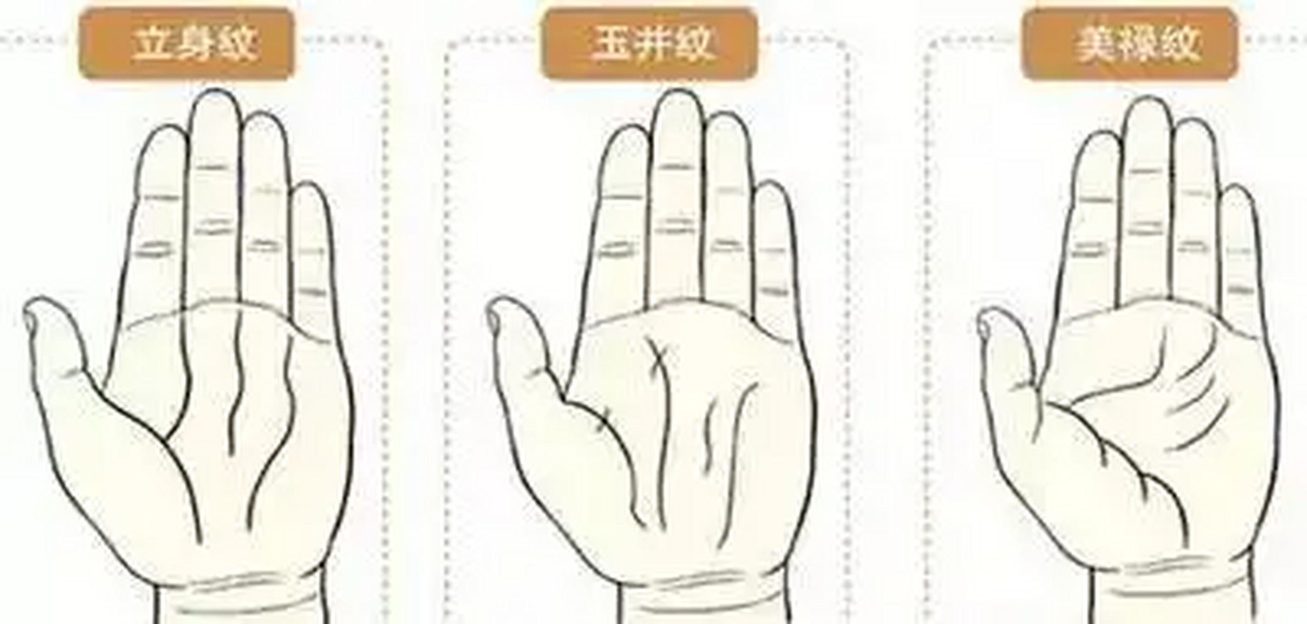 立身纹/玉井纹/美禄纹  立身纹  形:小指指缝处斜向印堂部位有稍带