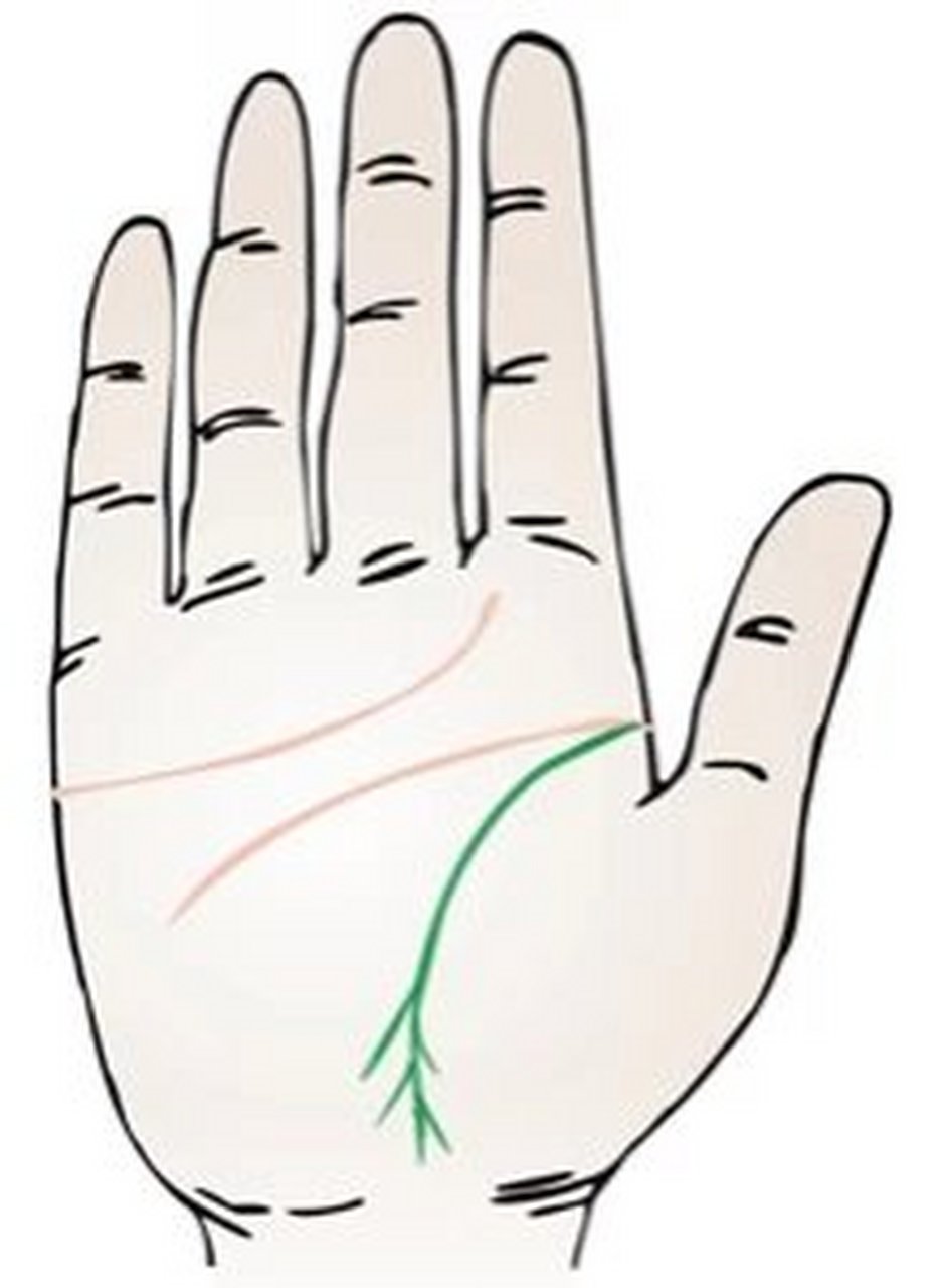 手相算命生命线未端有流苏状  表示其人晚年子女不在身旁,以致生活