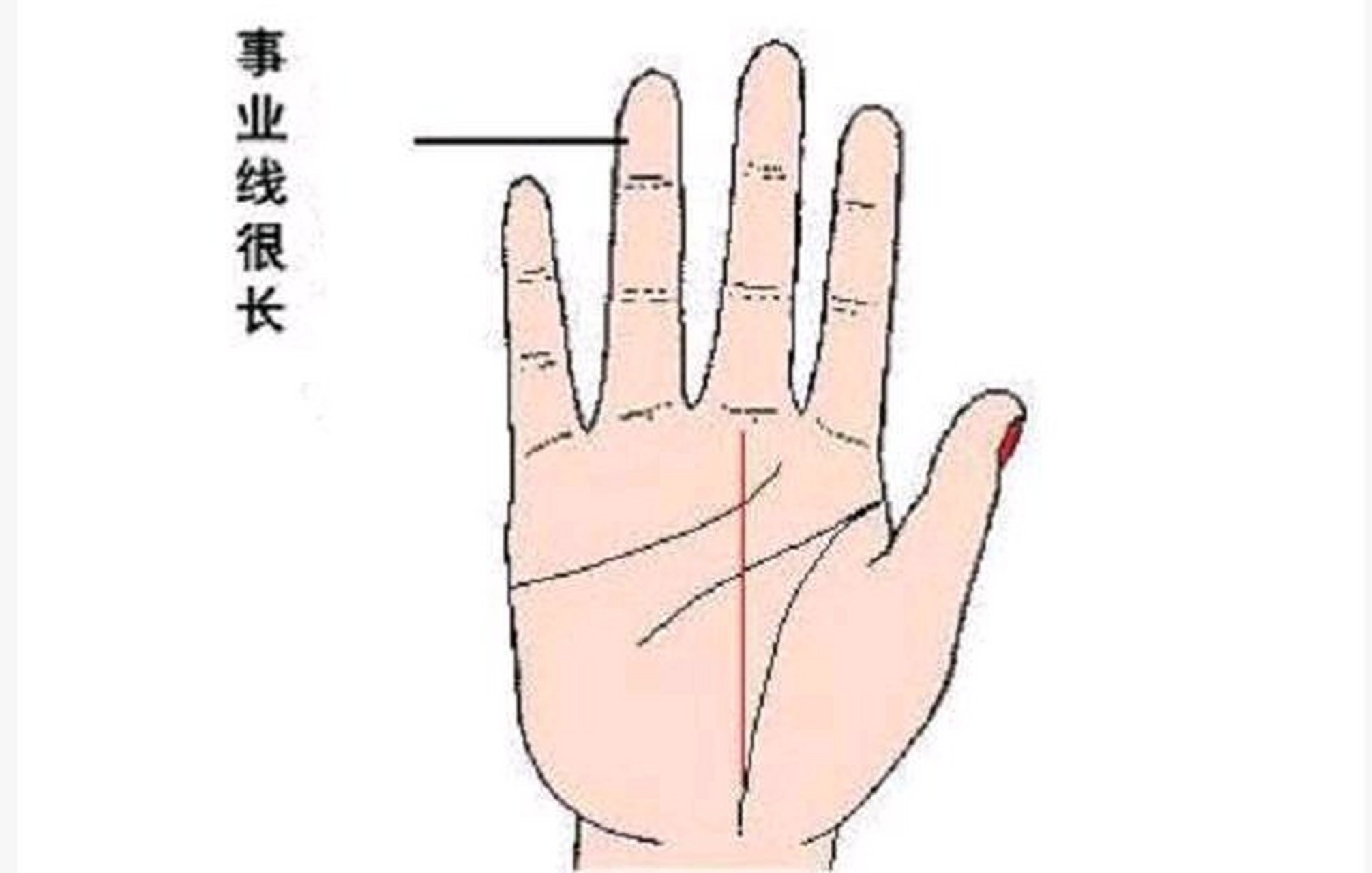 因为这条事业线有着很强的生命力,令人本能地停不下