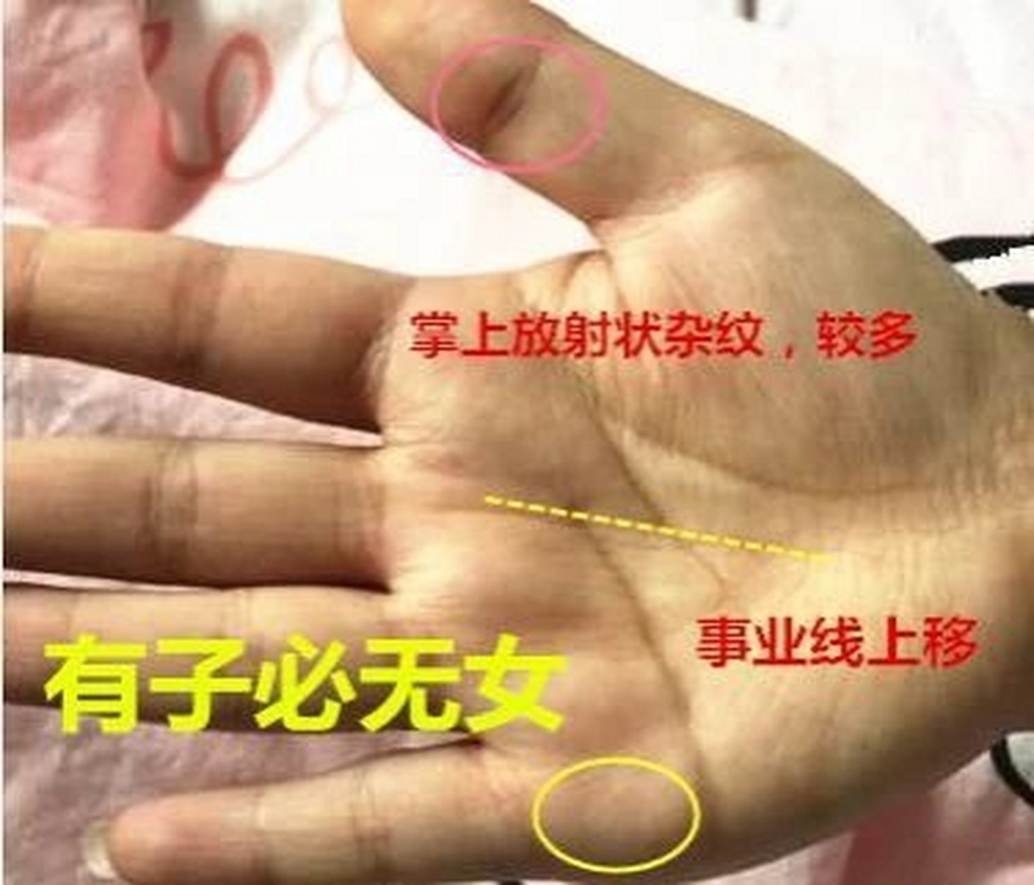 掌心颜色红润,比较厚实,而且手掌和手指都比较短,所以根基比较稳固.
