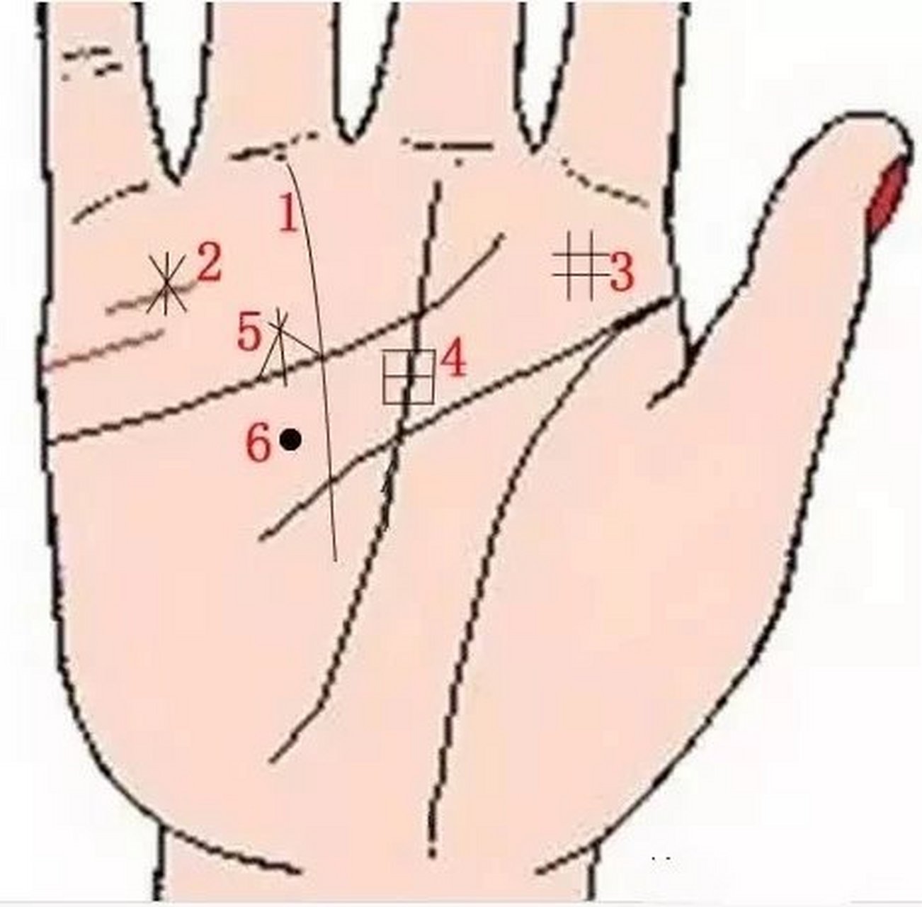 黑子纹(如图所示6):  当你的手心中有黑子纹时