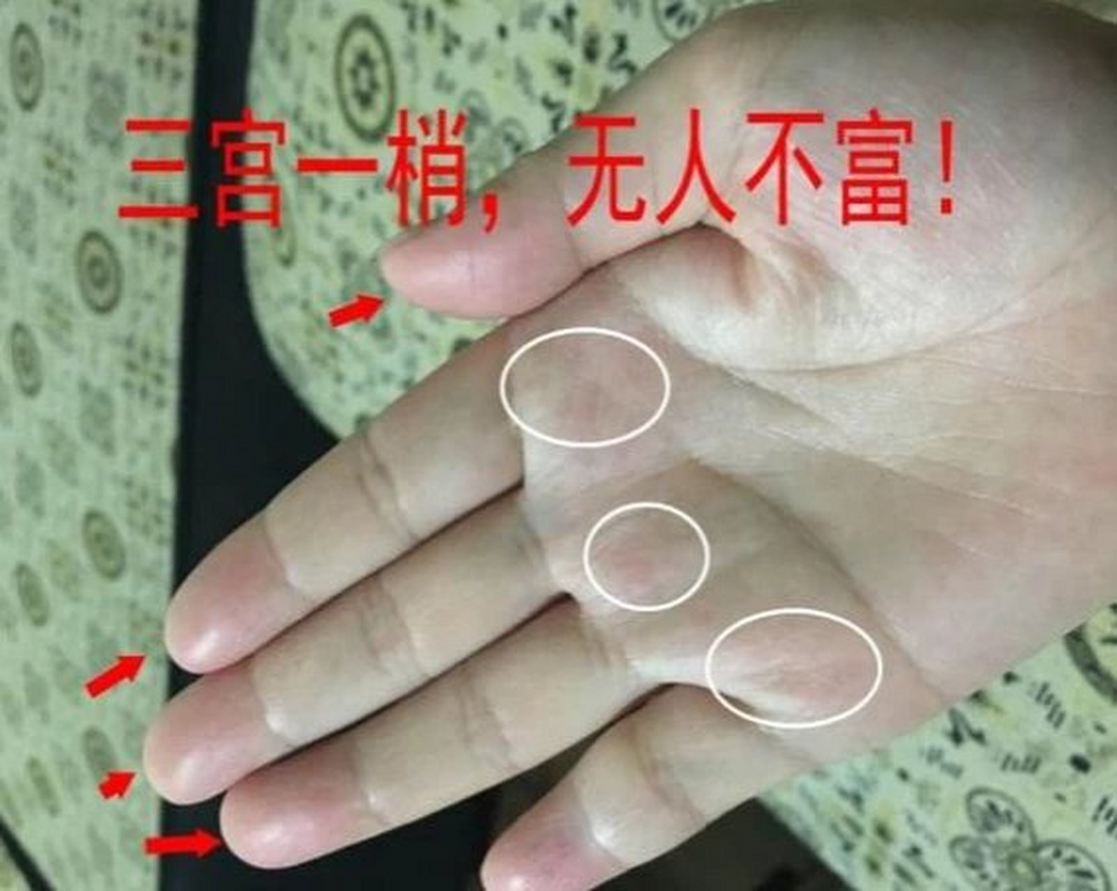 女性手相中巽宫高凸,名堂低洼,一凸一凹,阴阳搭配,巽宫女者,名堂中宫