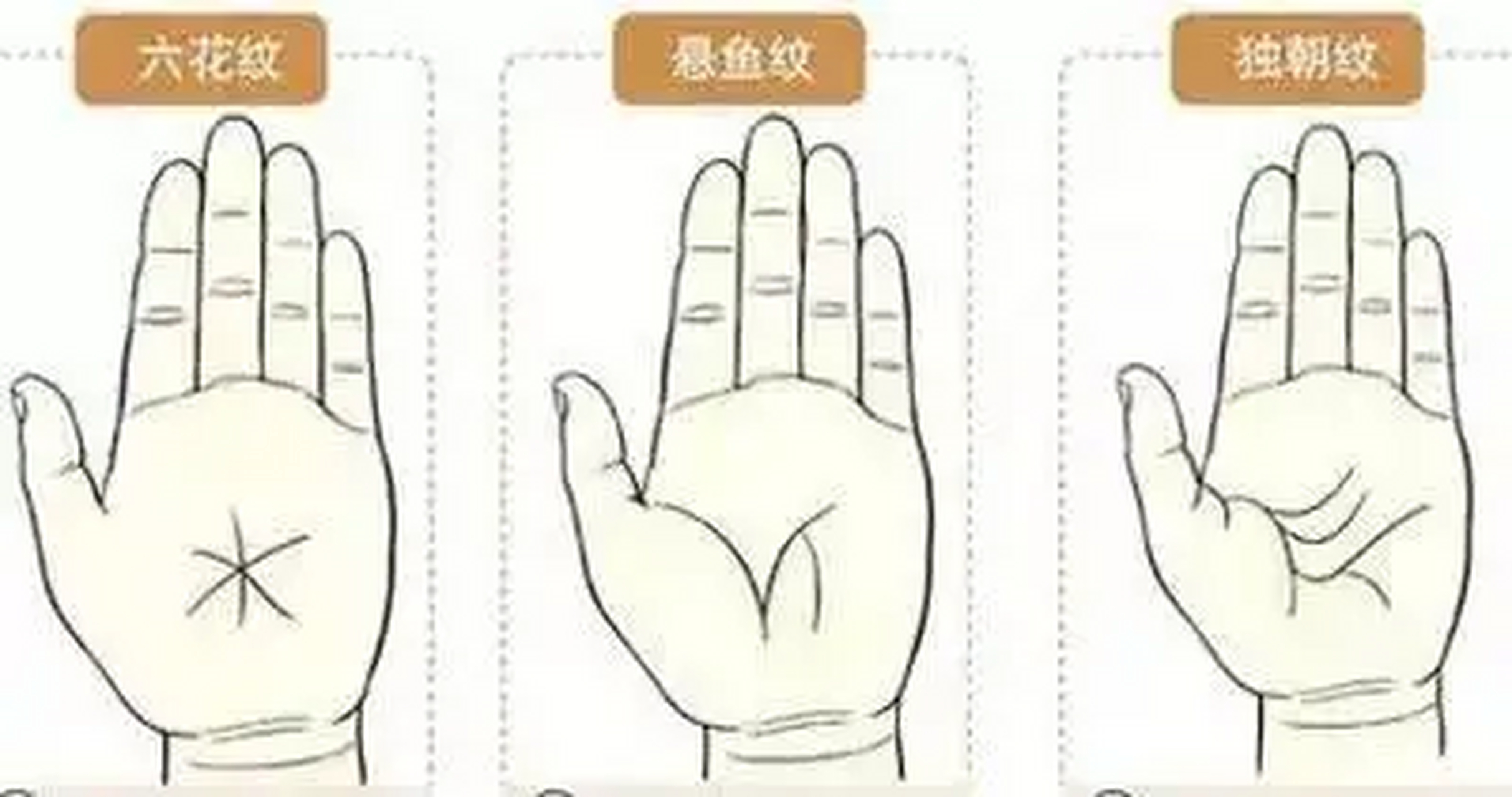 悬鱼纹  形:学堂部位的掌纹如倒挂的鱼.