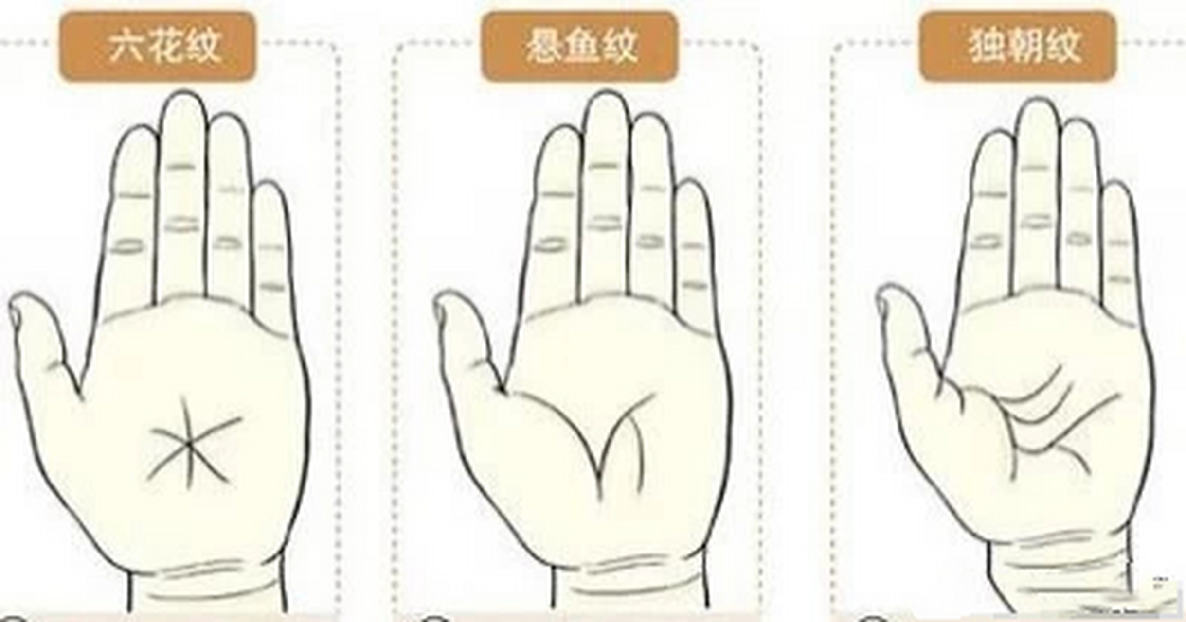 悬鱼纹  形:学堂部位的掌纹如倒挂的鱼.