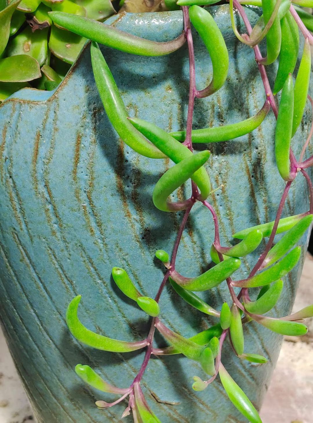 一年四季,各有不同的风景,简有简的怡人,繁有繁