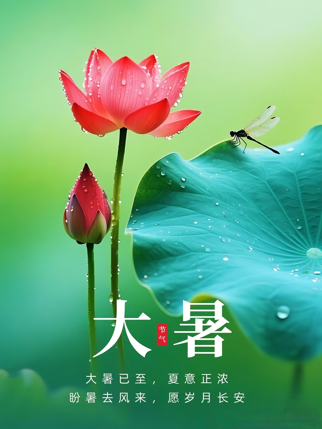 时值大暑,拥抱盛夏的热忱, 让每一天都过的热气腾腾