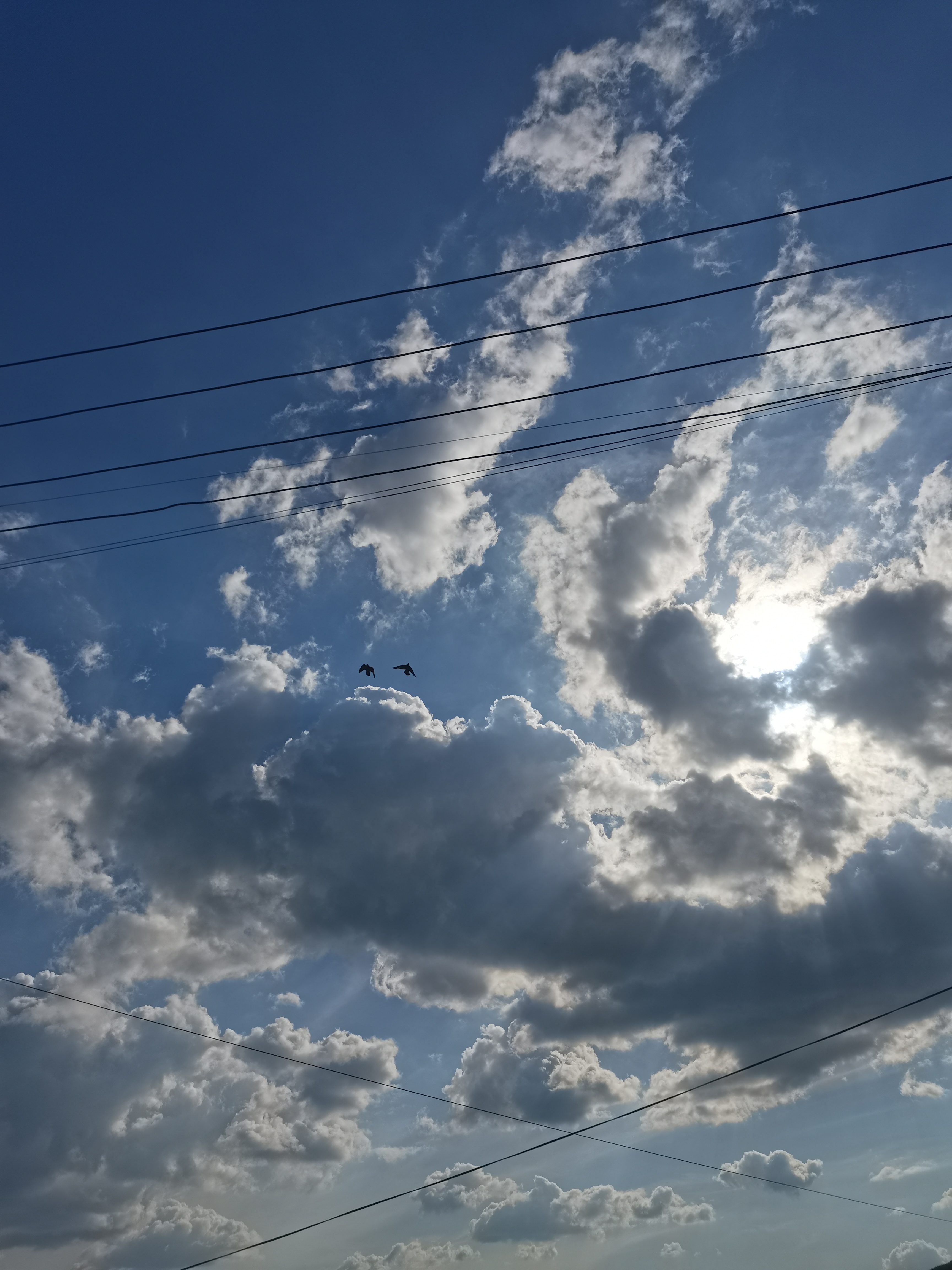 万物独放都醒目,                     汇聚入群