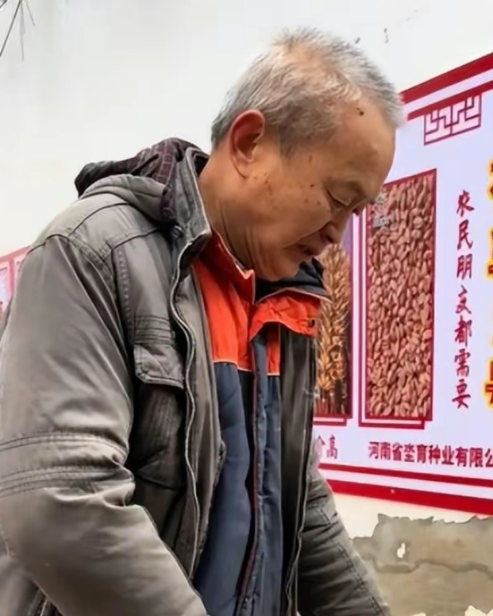 播放老头照片新闻(播放老头照片新闻稿件)