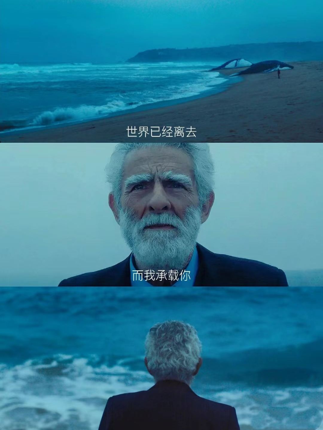 剧情:讲述的是在智利独裁恐怖时期,一位看守入殓房的老人为给一位