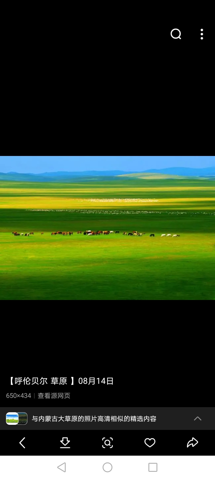 内蒙古草原对阵海南海口,谁将笑到最后? 内蒙古草原对阵海南海口,谁将笑到最后?