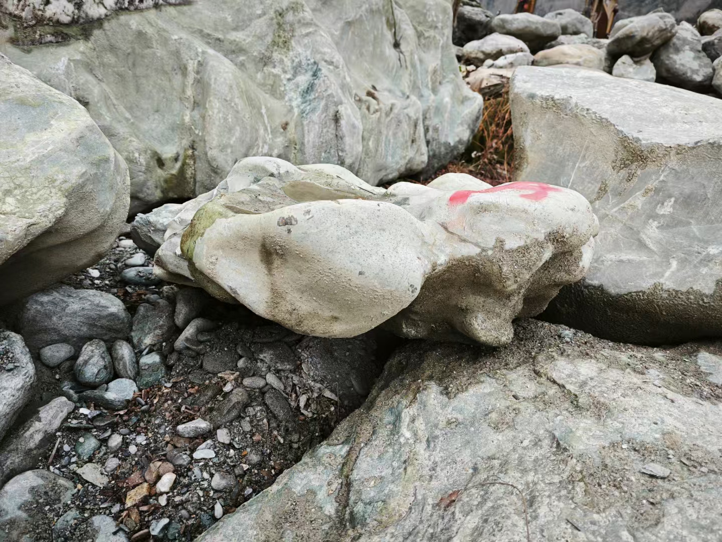 不畏风雨,不慕繁华,方能久梨园河的石头