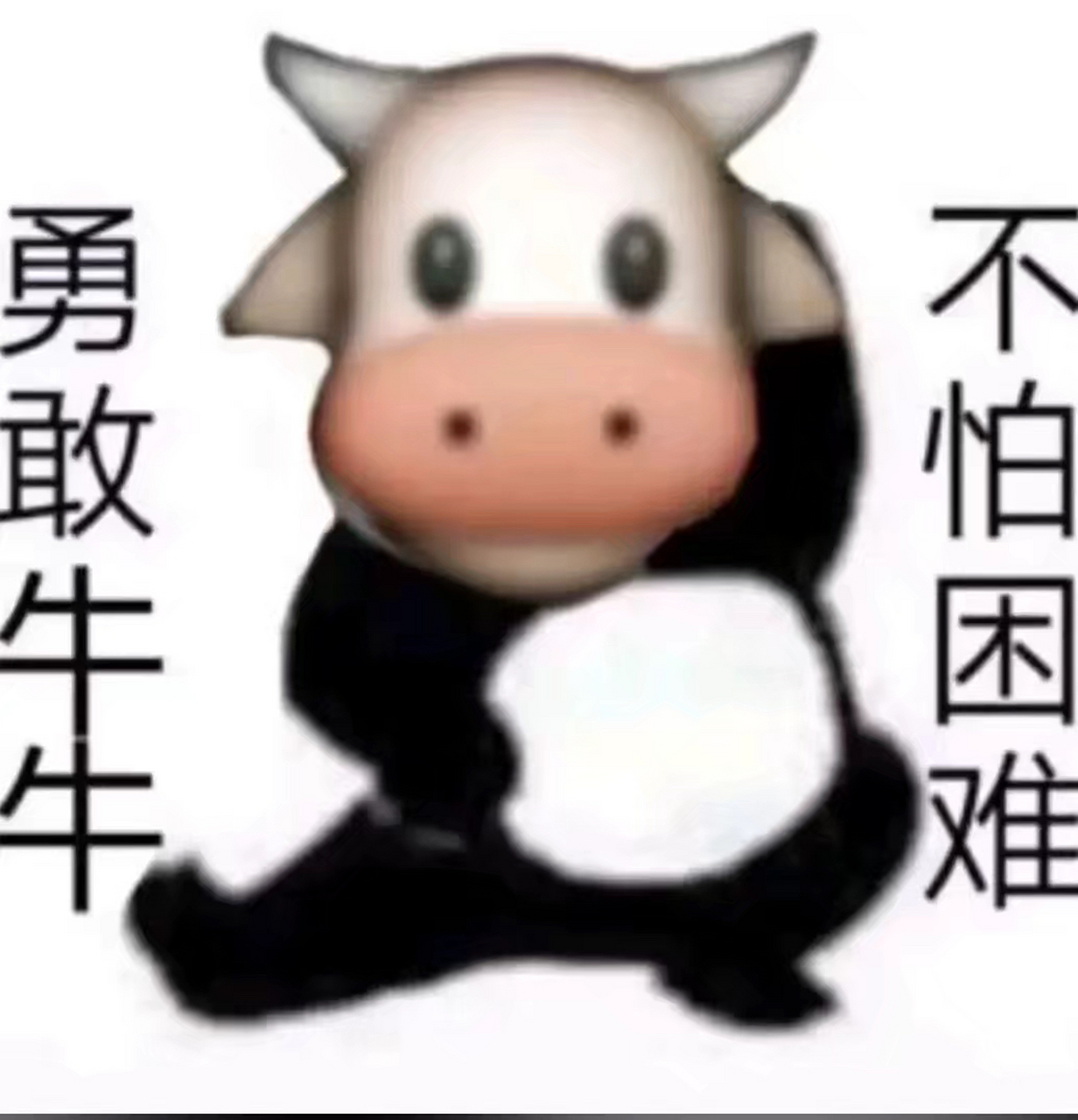 勇敢牛牛,不怕困难,勇往直前!