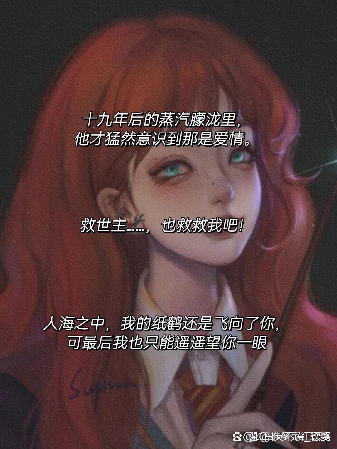 你17岁时,是万人仰慕的救世主,而我却成为了万人