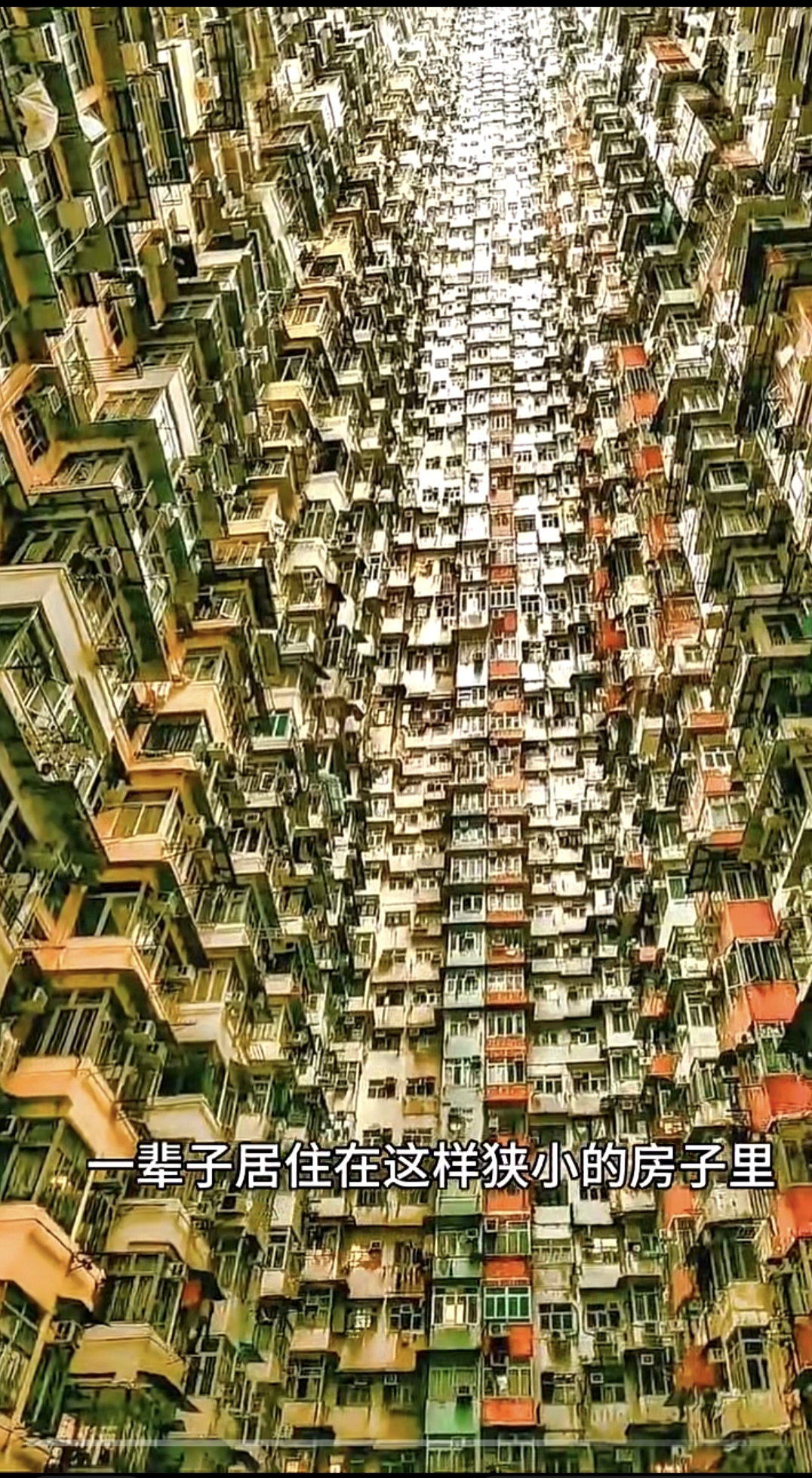 香港鸽子房图片