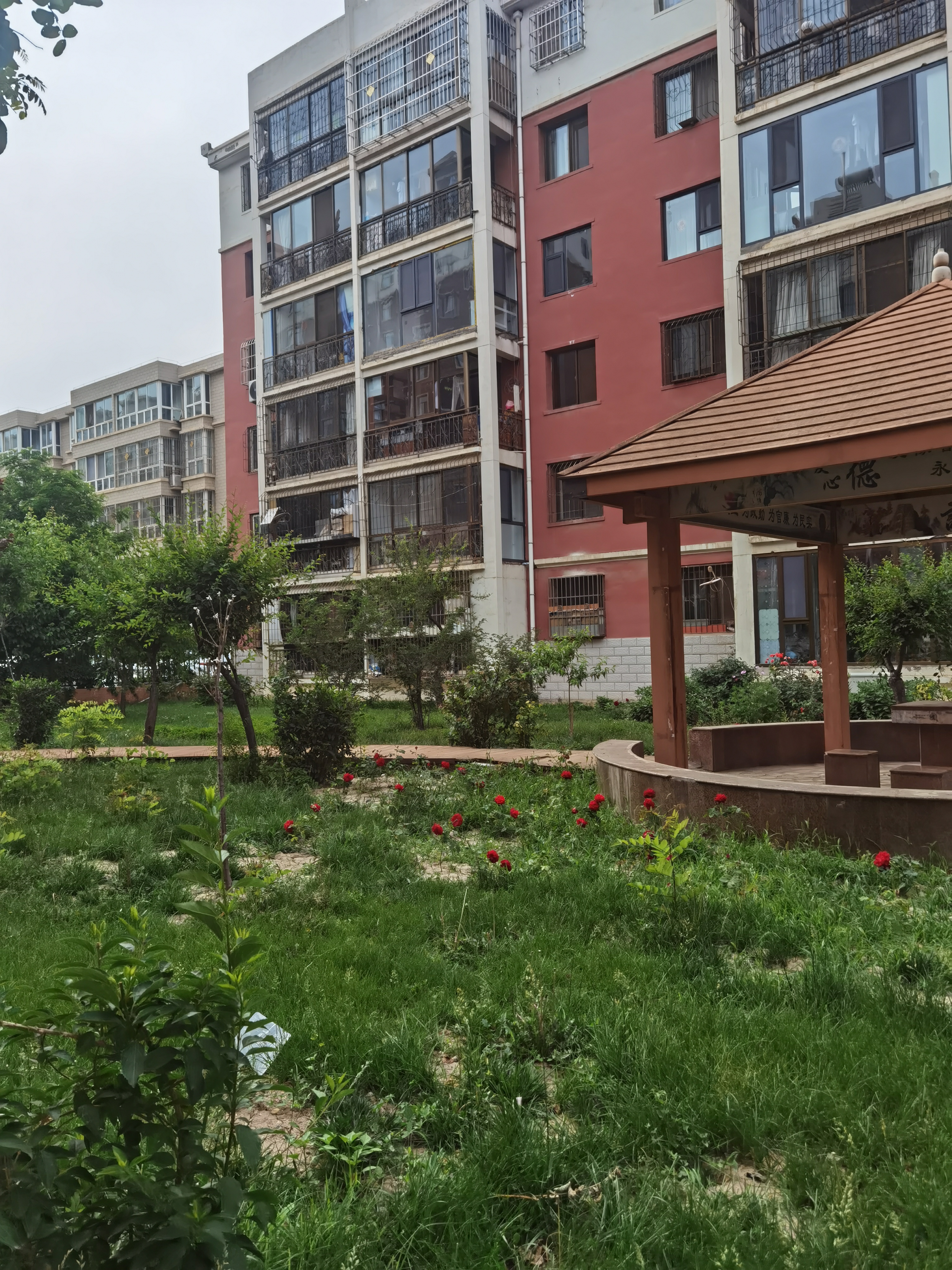 婚恋变形记37:男人再婚时前妻回家居住,新恋人何去何从  军官秦小阳和