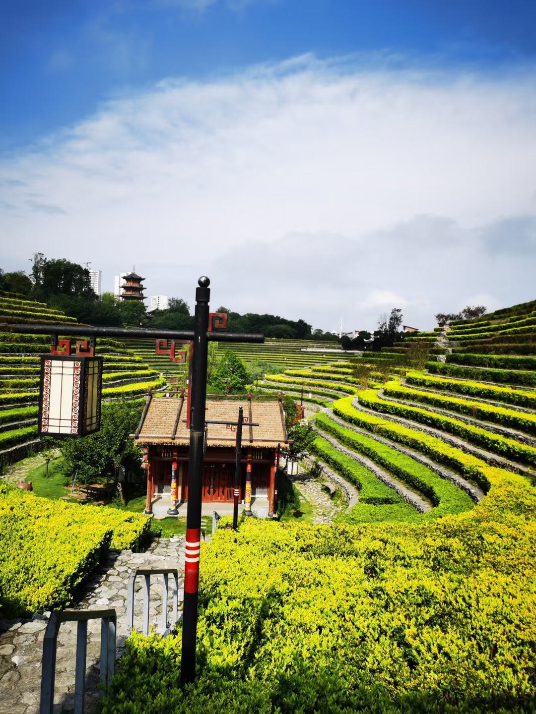 良好的学习习惯该如何养成,是很多家长关心的问题