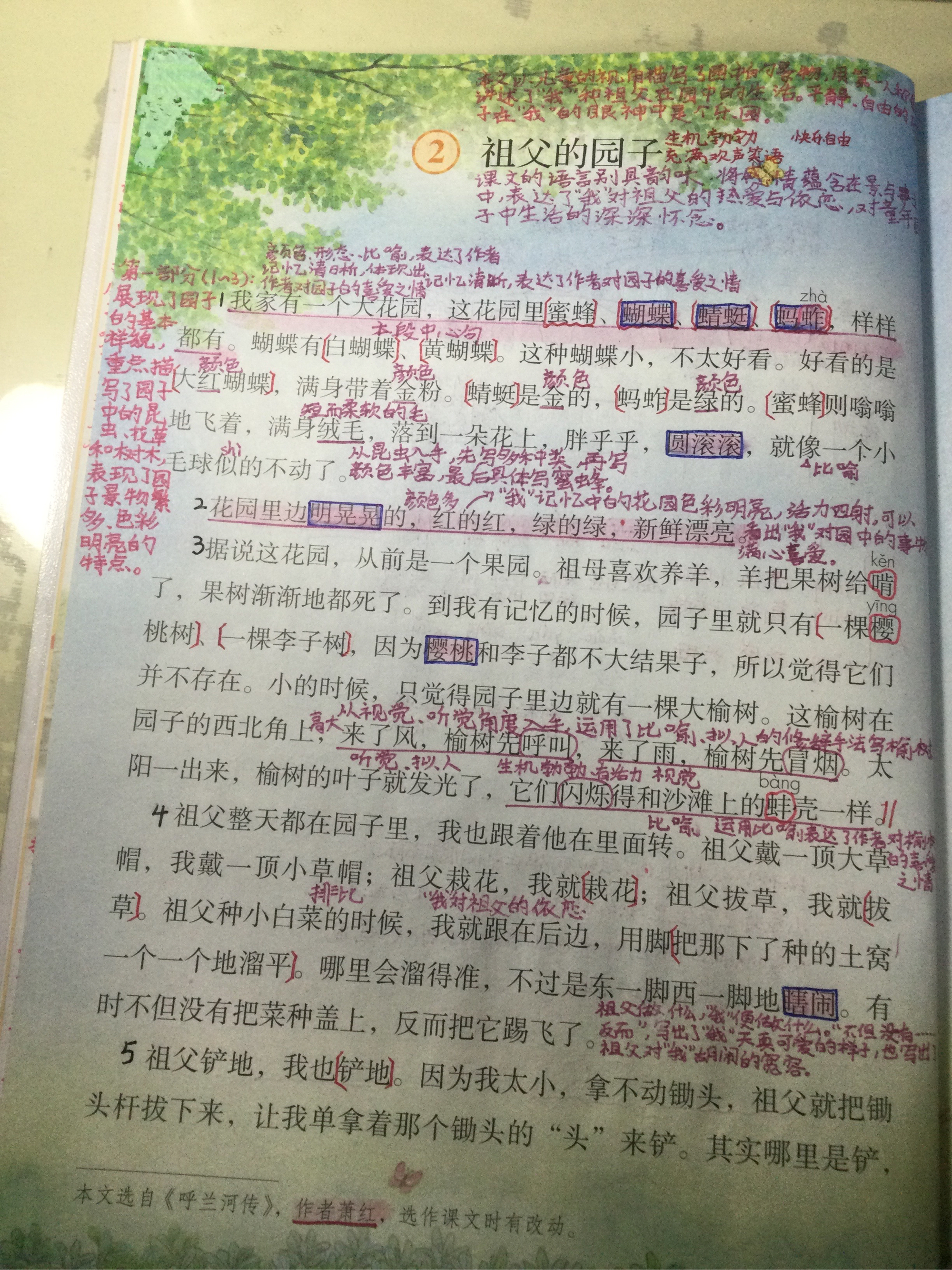 祖父的园子笔记整理图片