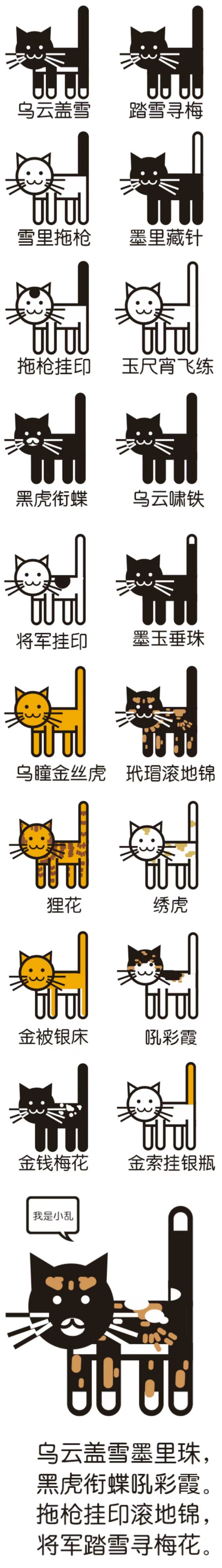 看了第一幅图后,  谁能告诉我诉我第二幅图的这只猫应该叫什么?