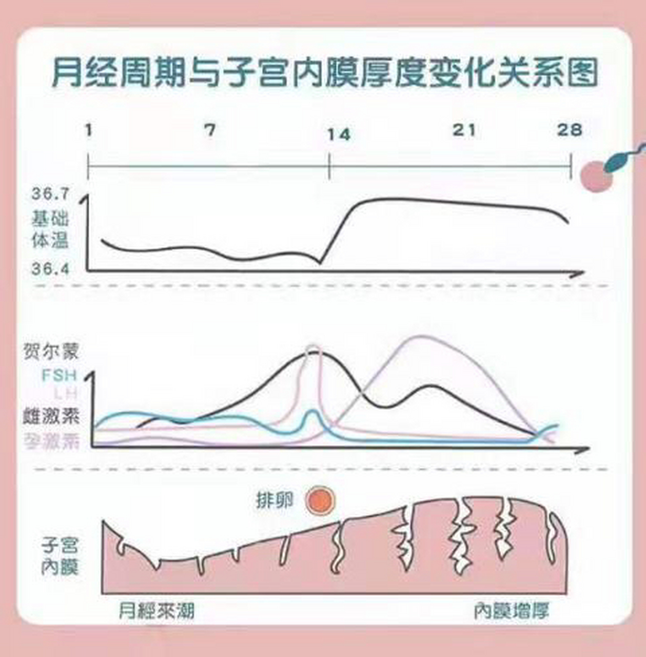 武汉妇科